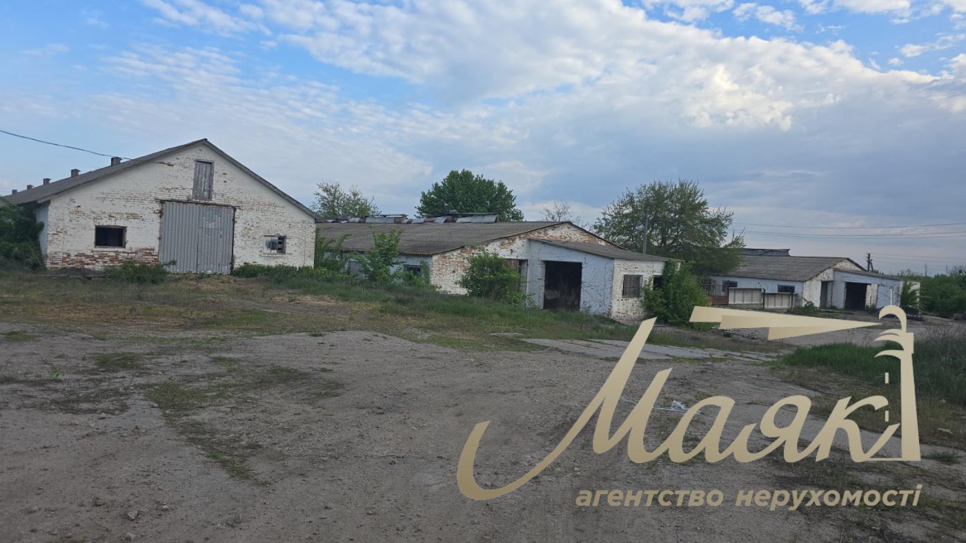 Продаж складських приміщень у с Дибинці