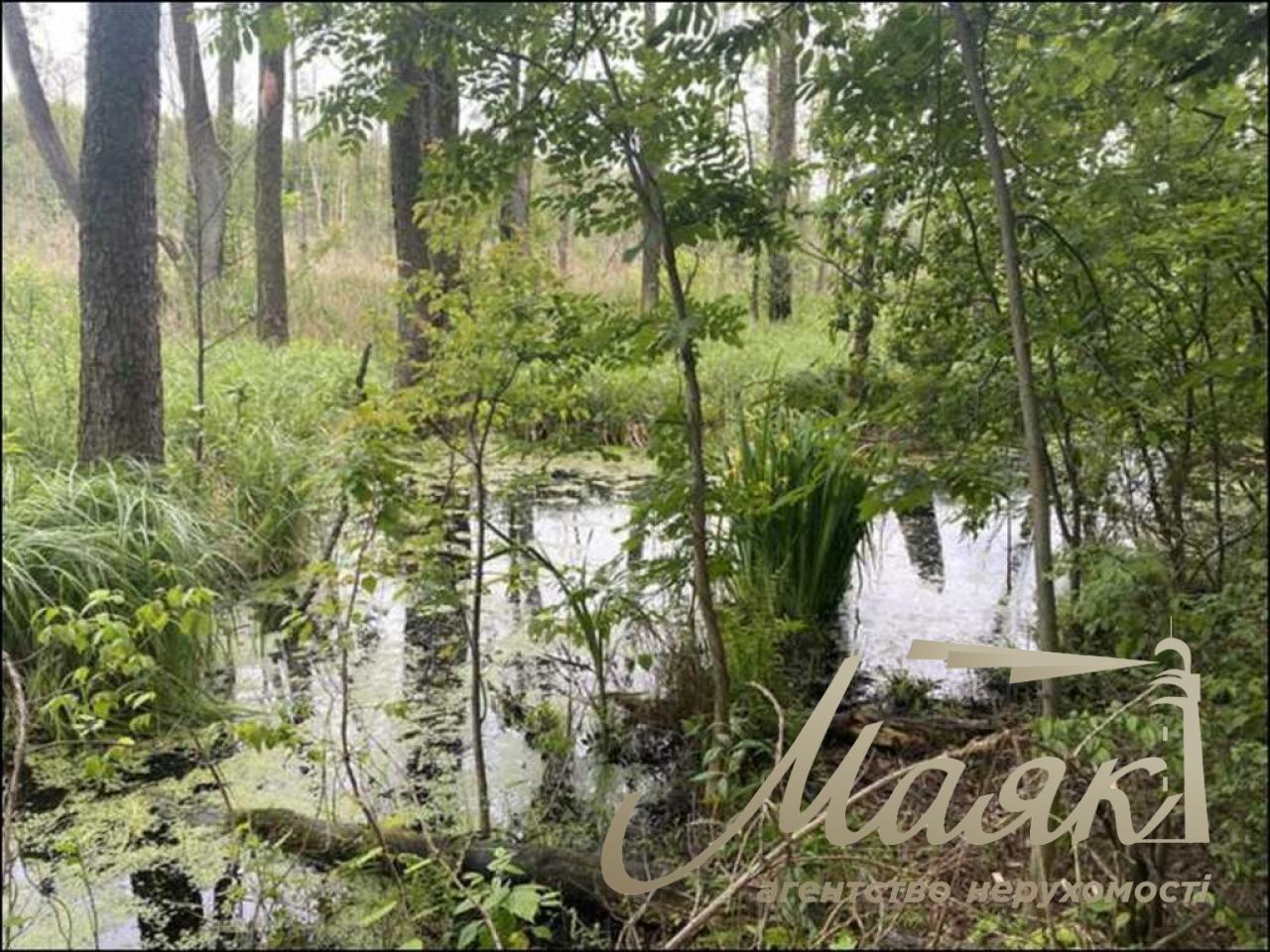 Продаж земельної ділянки,113 сот, Козин Обухівська обл.