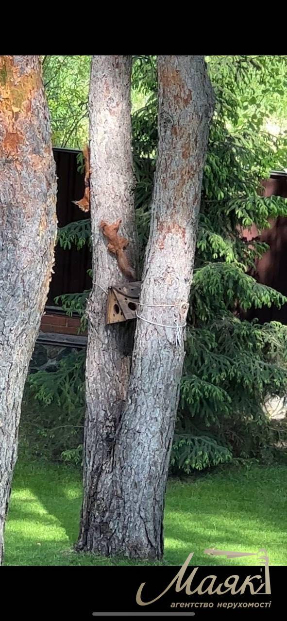 Оренда будинку з басейном у Лісниках, з приголомшливою ділянкою.