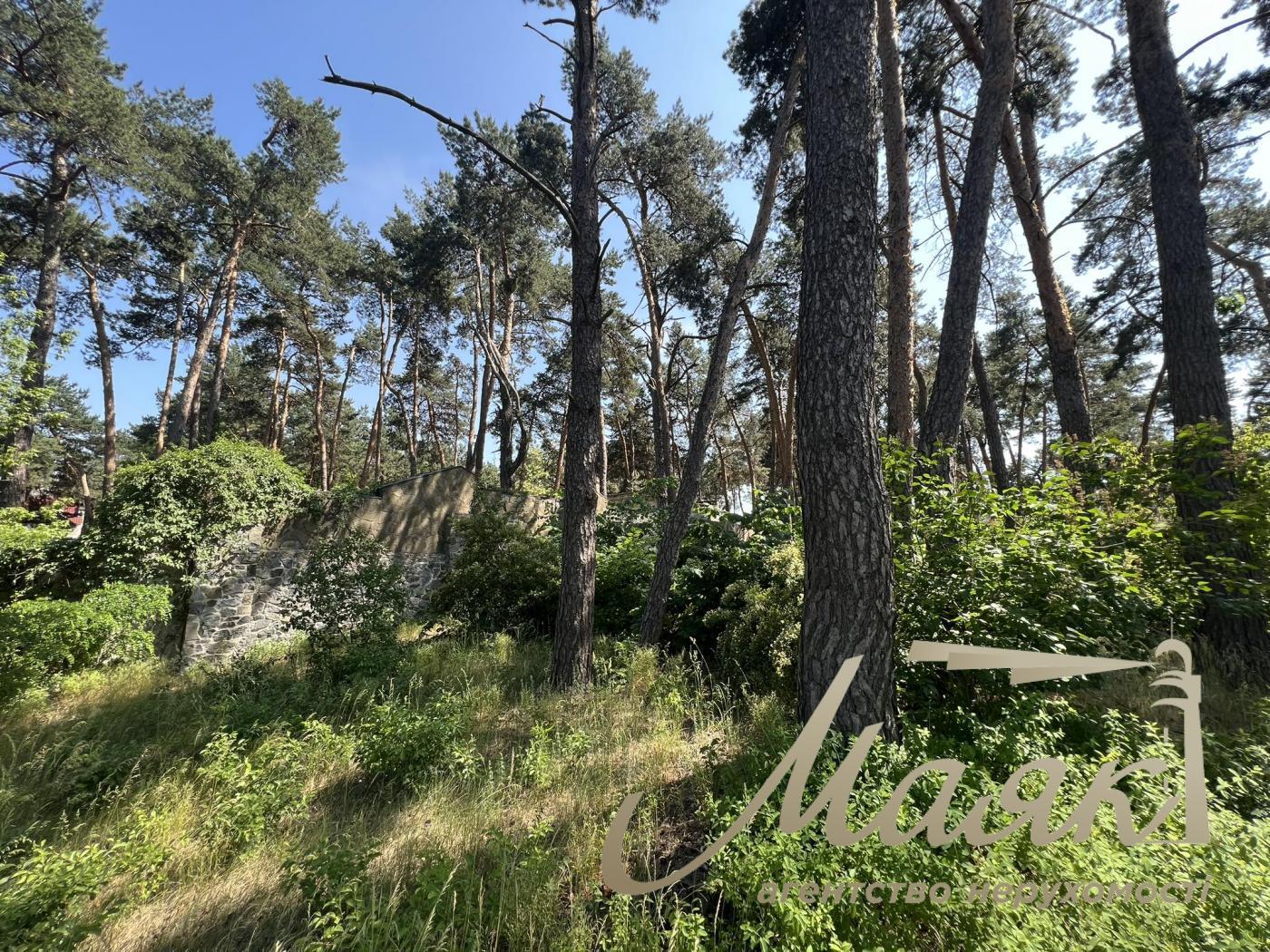 Sale of a plot with access to the Dnieper river. Kozin village. Dam