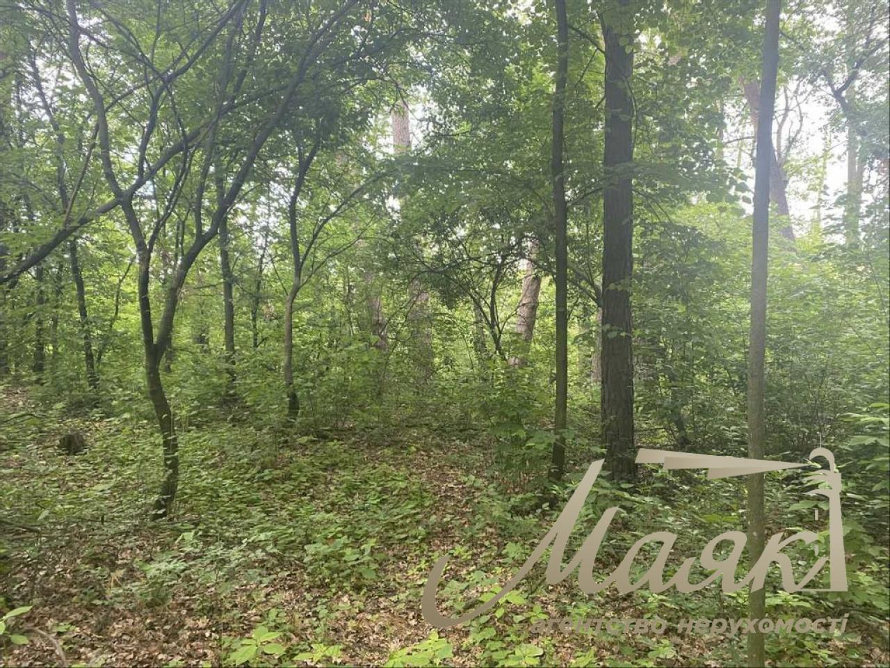 Продаж земельної ділянки,113 сот, Козин Обухівська обл.