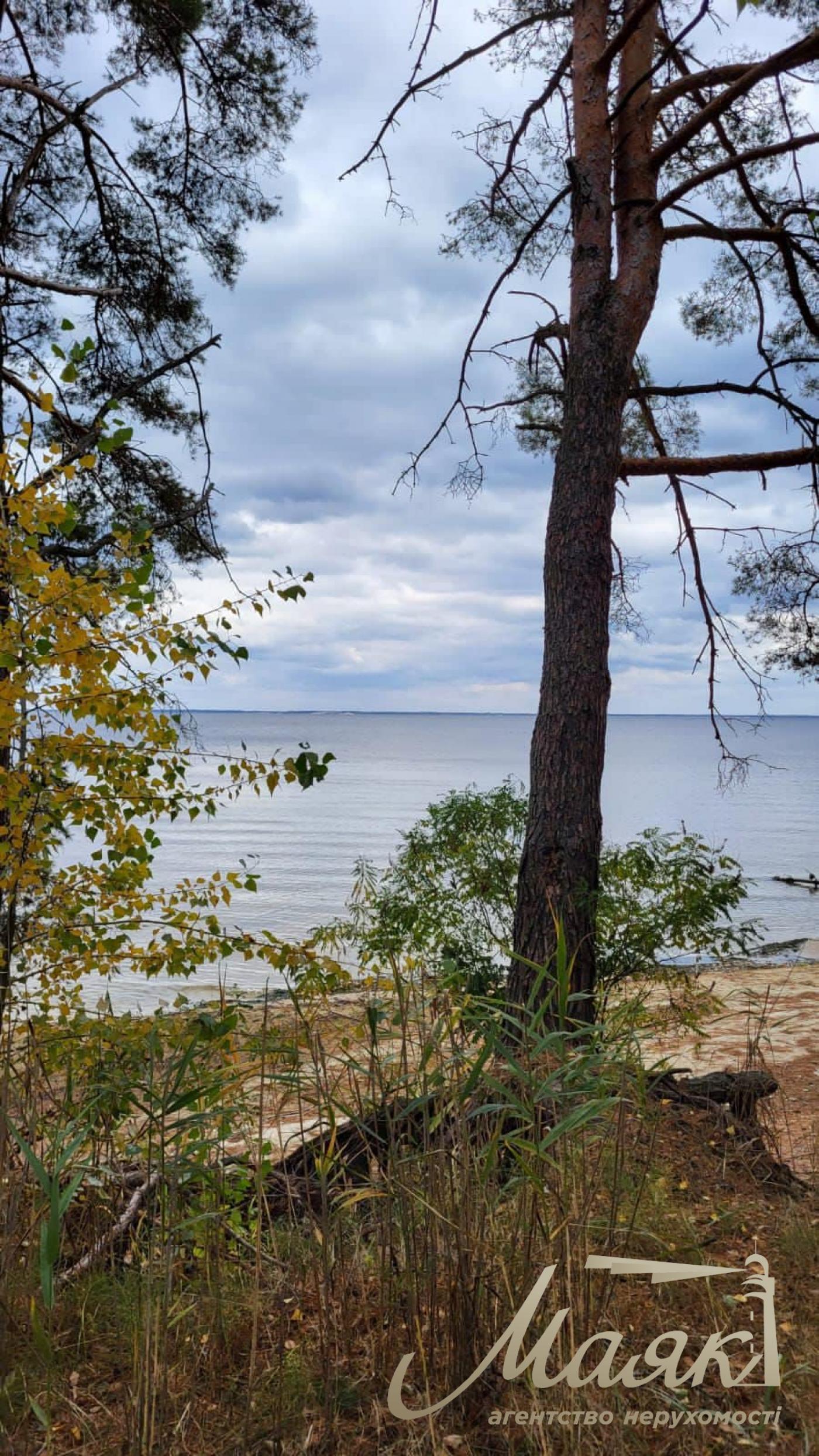 Sale of land with forest and access to the Dnieper. village Yasnogorodka