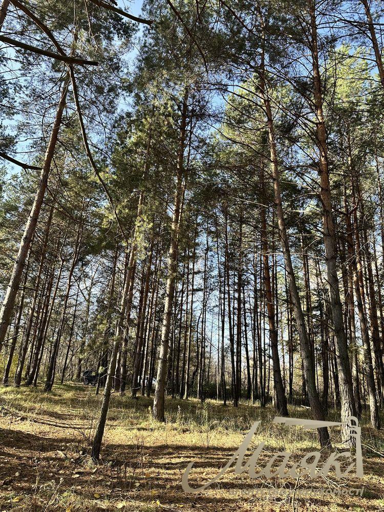 Продаж земельної ділянки 2,8 Га в лісовій частині Нової Ходосівки