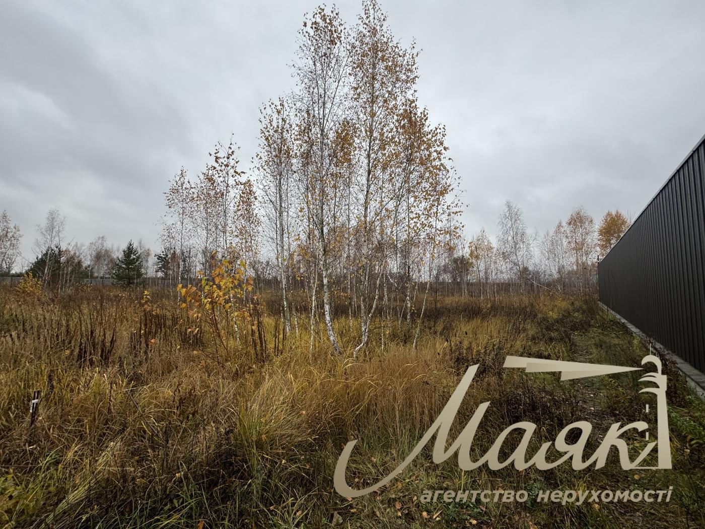 Sale of land in Kyiv region 40 acres + 20 acres for individual construction, Khutor Mrigi, Koncha Zaspa, Goloseevo, Kyiv