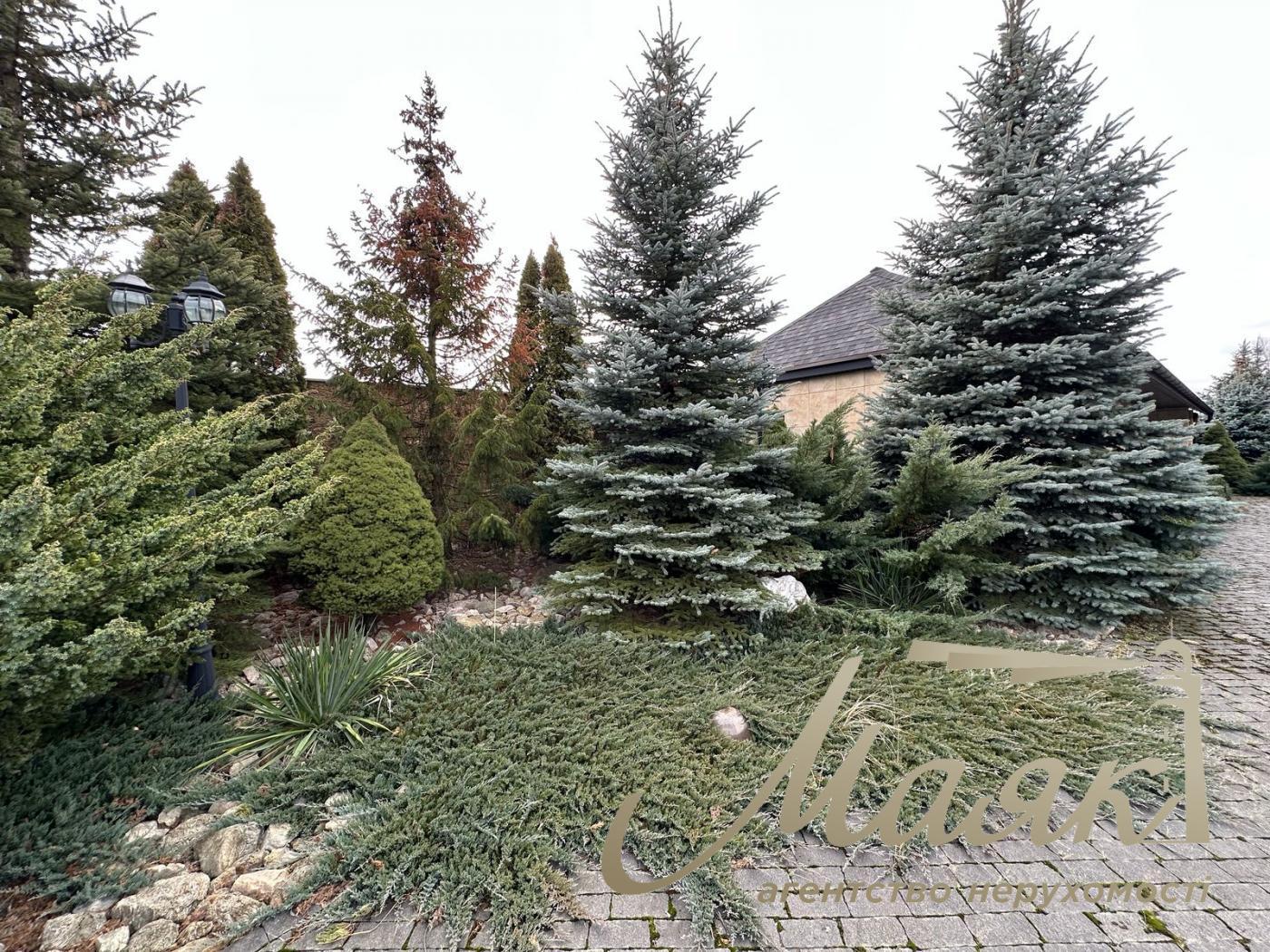 For sale one-storey cottage with access to the lake in the cottage town in the village of New Bezradichi, Obukhiv district.