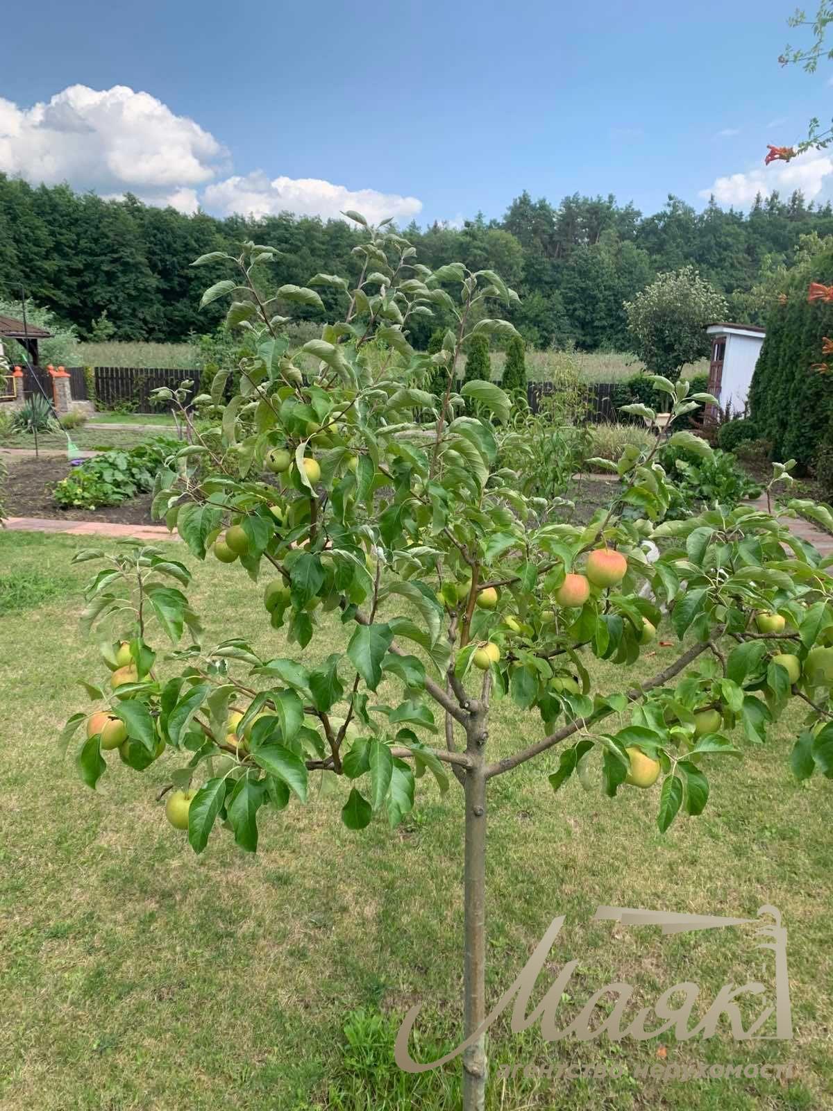 For sale house 238m2 in Kiev with. Chapaevka / Vita-Litovska, Goloseevsky r-n.