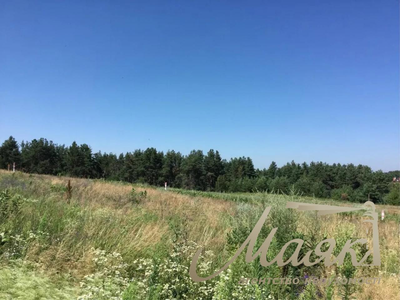 Sale of land plot 2 hectares for construction in the village of Gorenichi