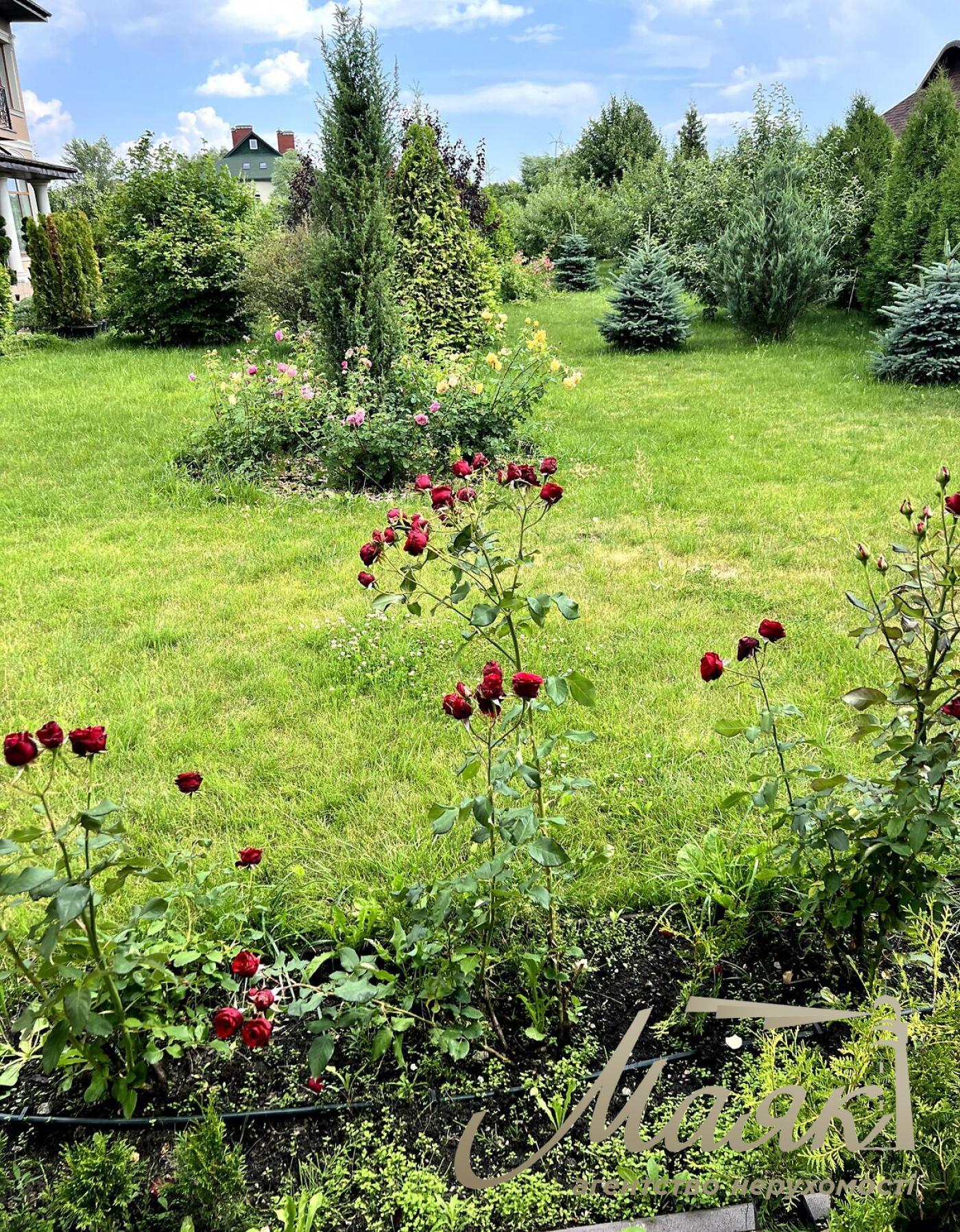 Продаж будинку з дизайнерським ремонтом у Нових Петрівцях, 35 соток, 650м2, вул. Івана Кудрі