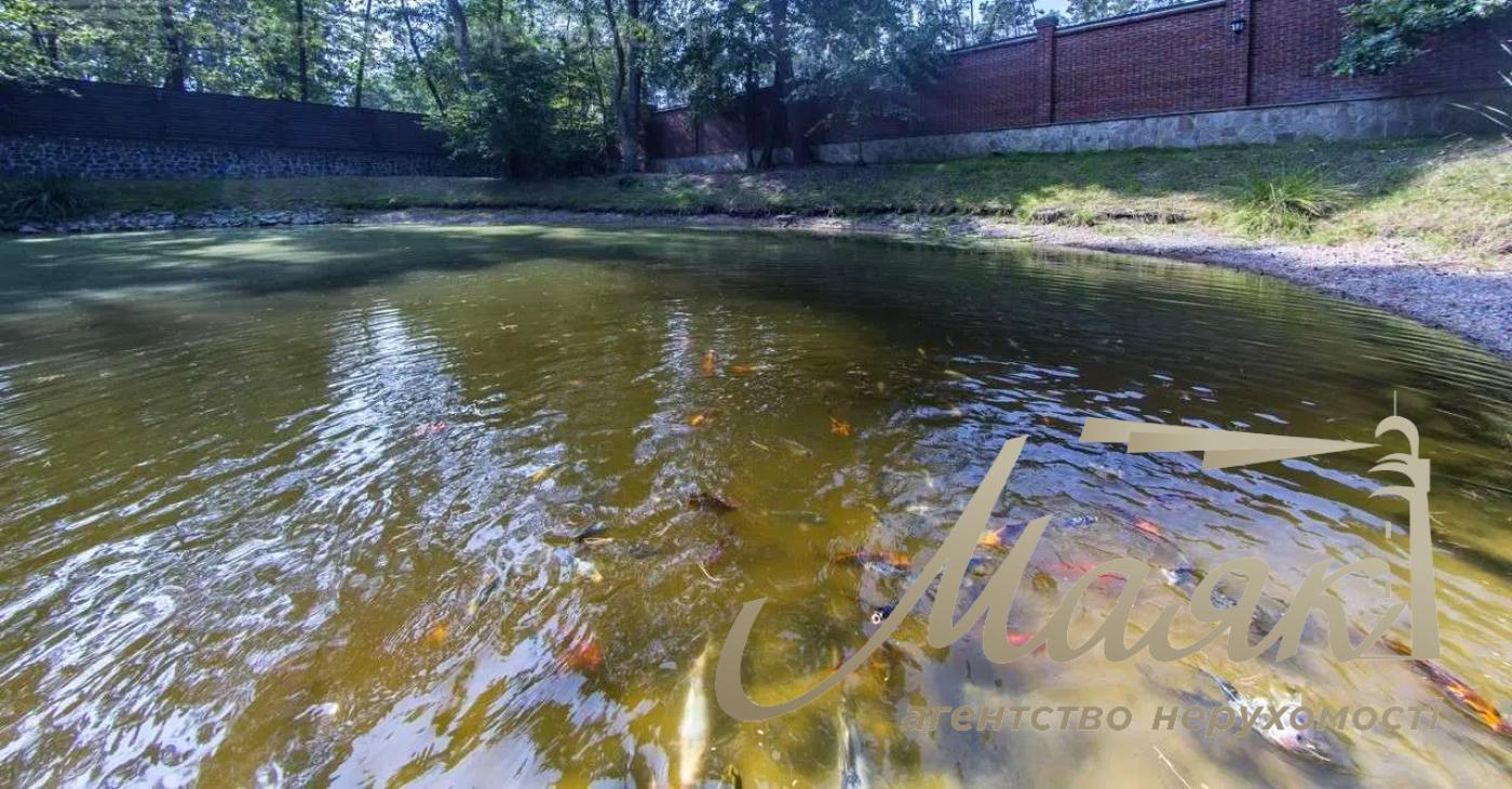 Оренда будинку площею 430 м², що розташований у сосновому лісі на ділянці 50 соток із ландшафтним дизайном у с. Романків.