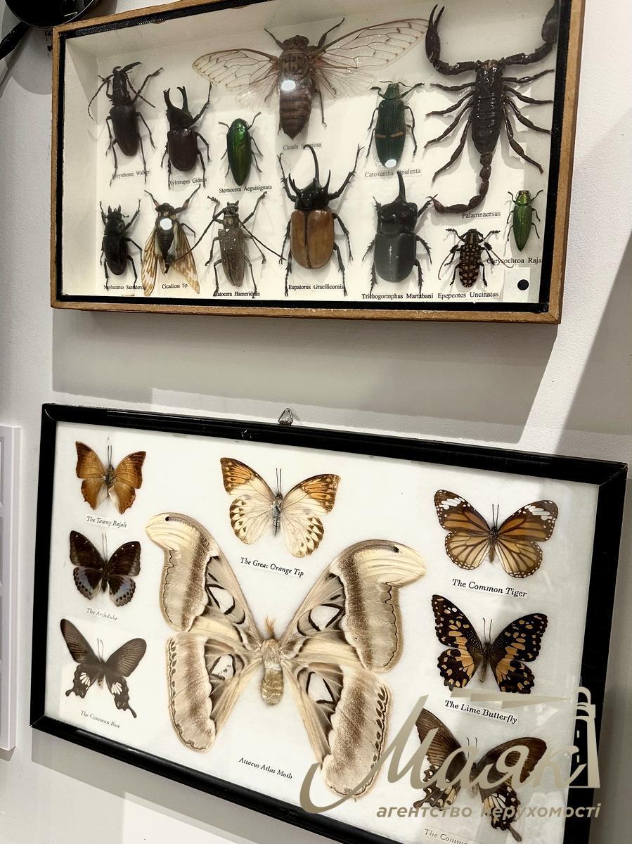 Оренда заміського будинку 215м2 з басейном у престижному передмісті Києва, Обухівський напрямок.