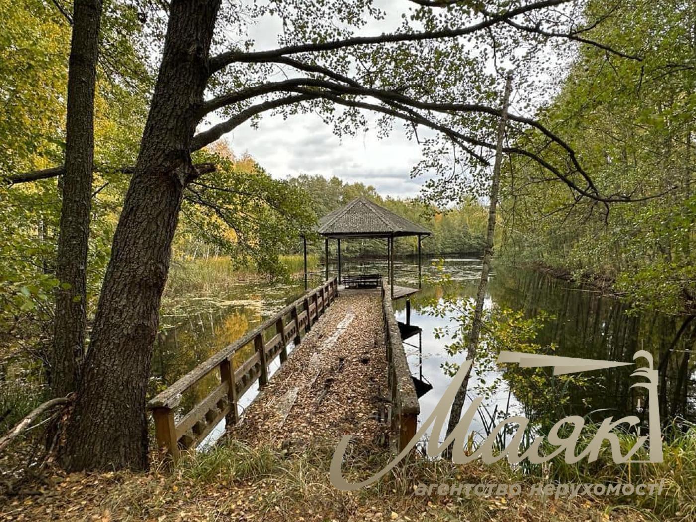 Sale of land with forest and access to the Dnieper. village Yasnogorodka