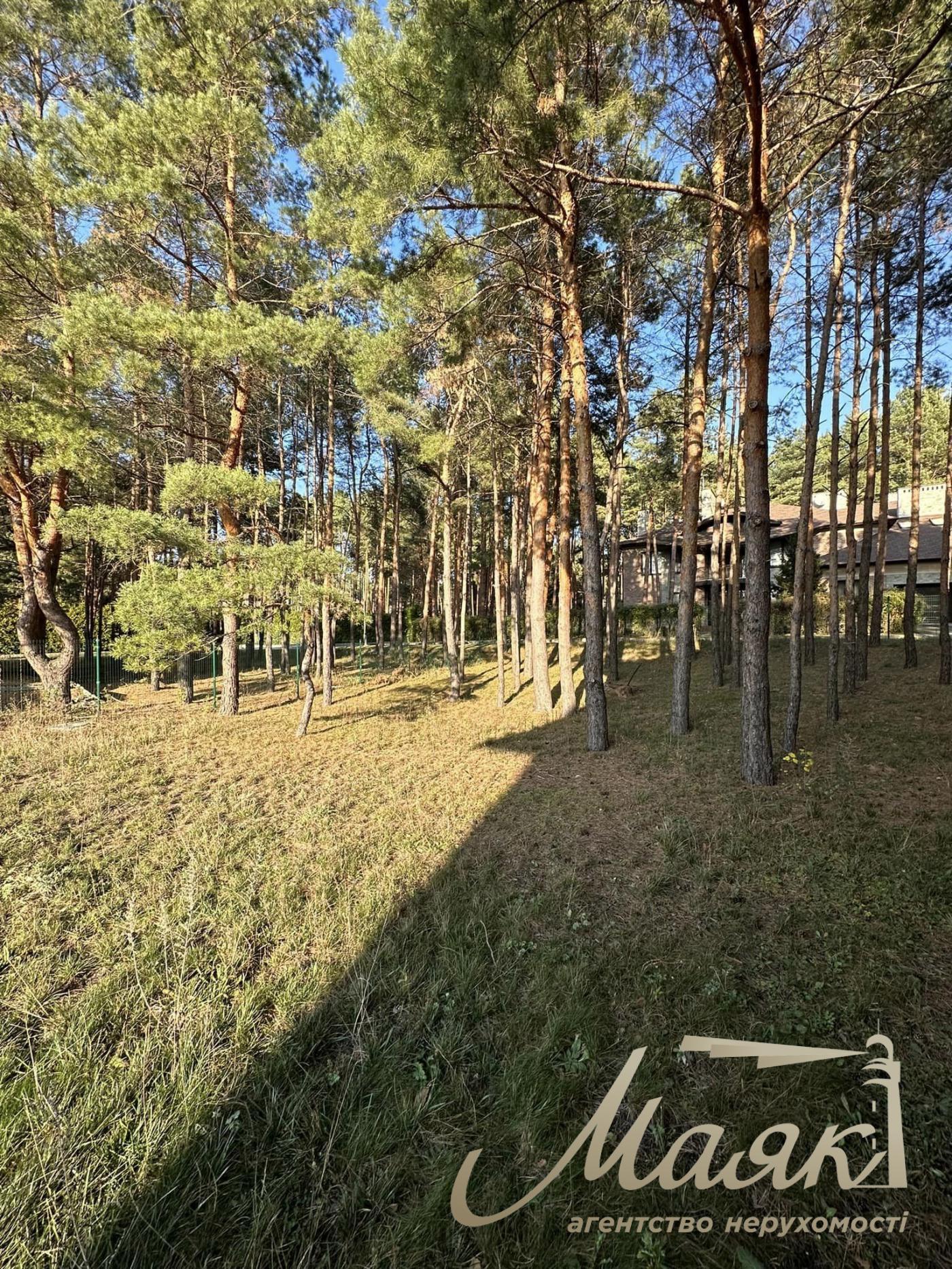 Sale of land in the forest in a cottage town. Koncha-Zaspa district.