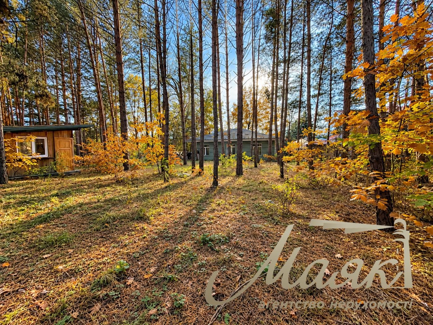 House for sale Obukhiv district, Dam, Kozin, Pluty, Ukrainka