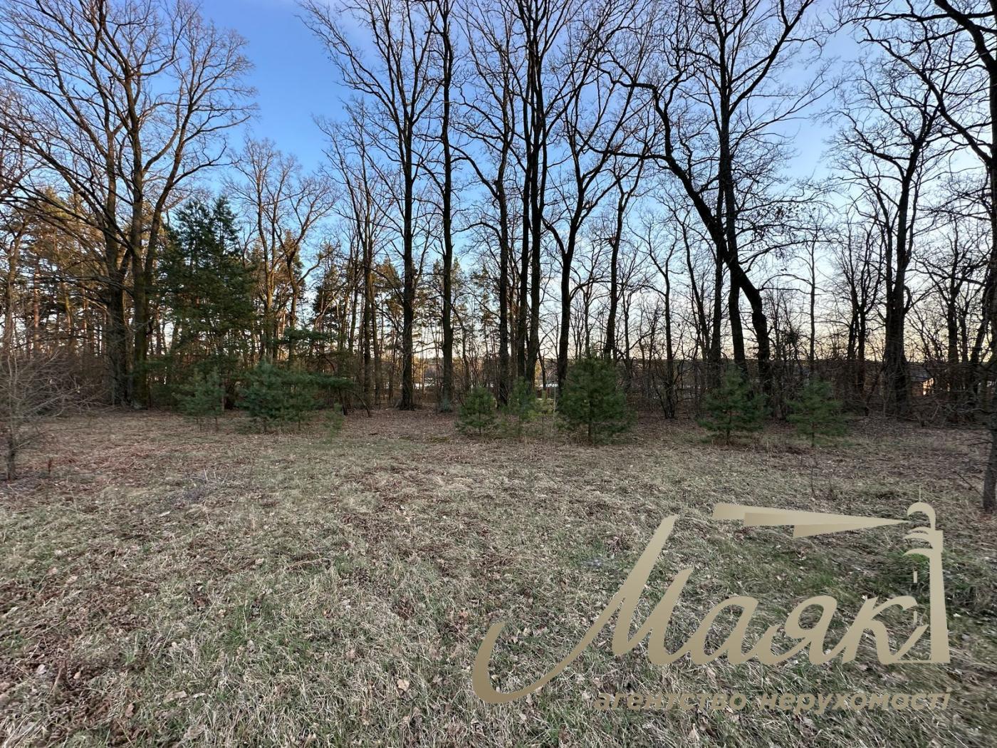 Sale of a plot of land in the forest in the town. village Kruglik.