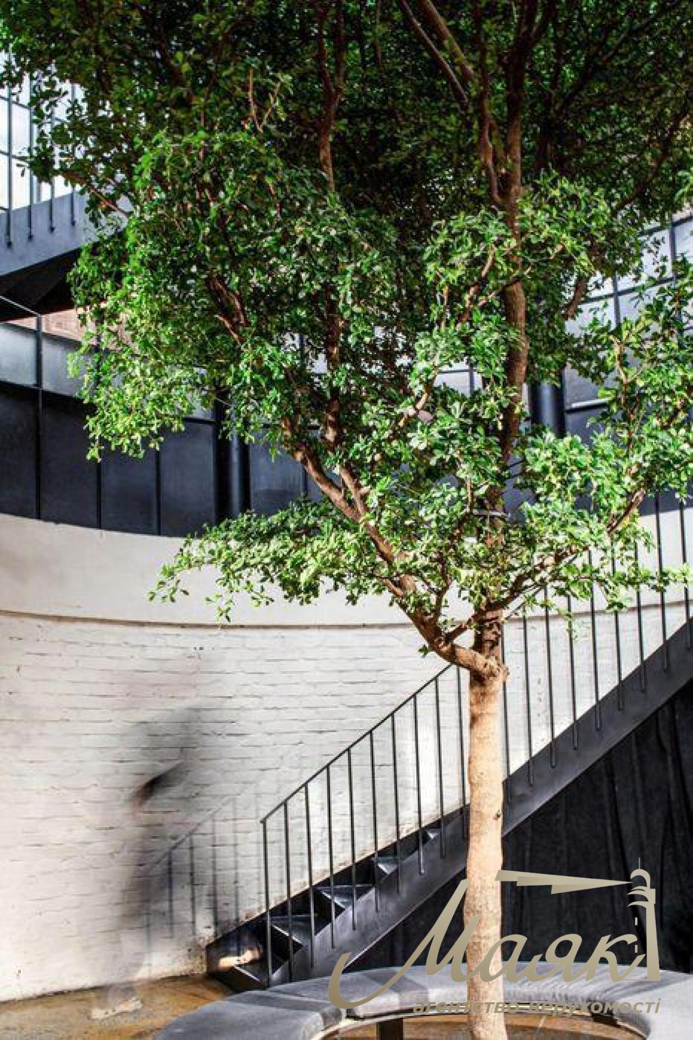 Оренда комерційного приміщення 134м.кв. вул Руйтарська, Центр