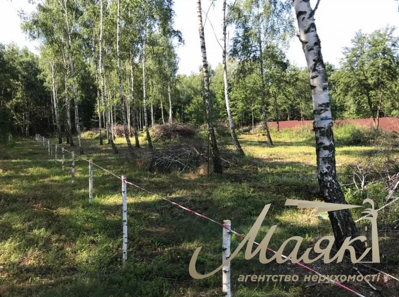 Sale of land in the village of Ivankovchi, 33 hundred square meters