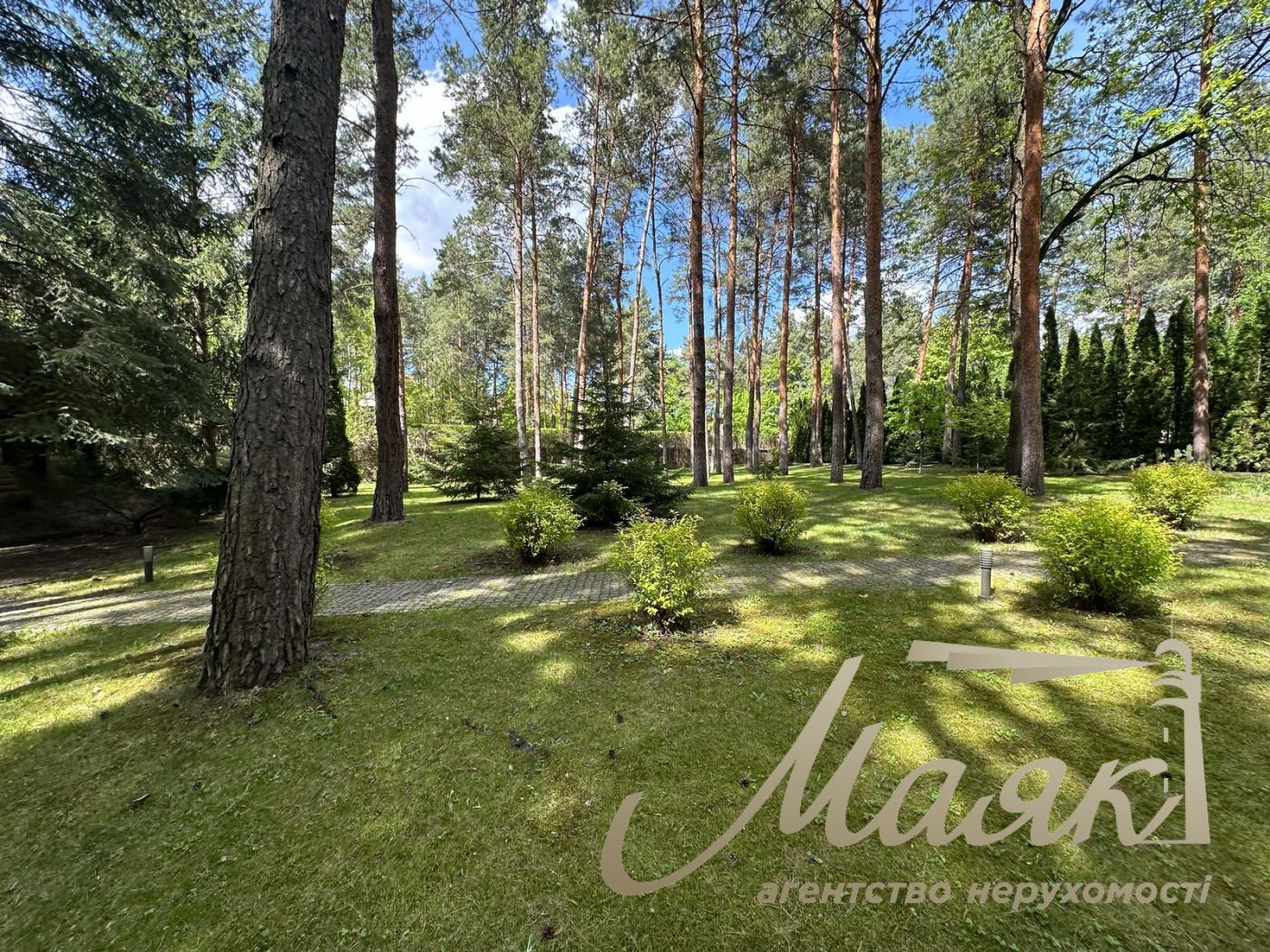 Sale of a plot of land in the forest in the city of Koncha-Zaspa.