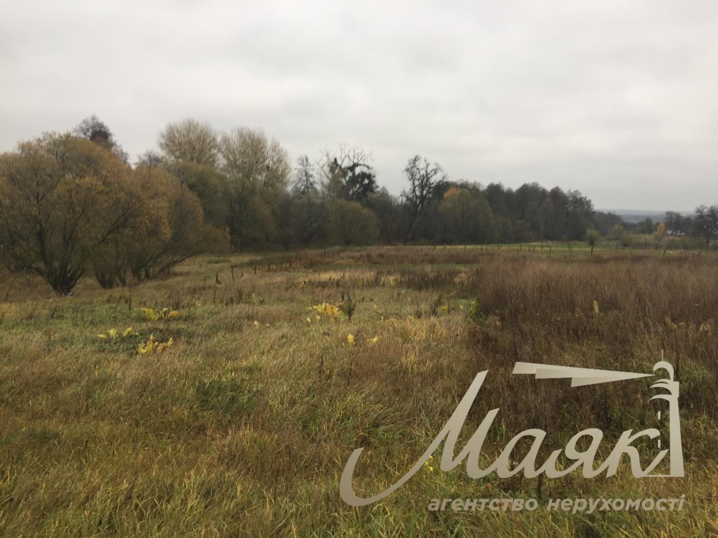 Sale of land for construction of a town or residential complex Vorzel.