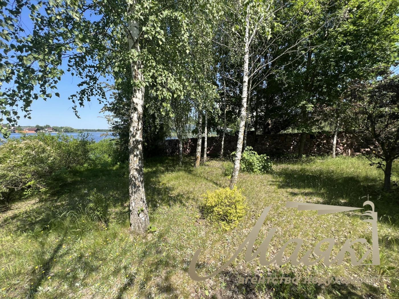 Sale of a plot with access to the Dnieper river. Kozin village. Dam