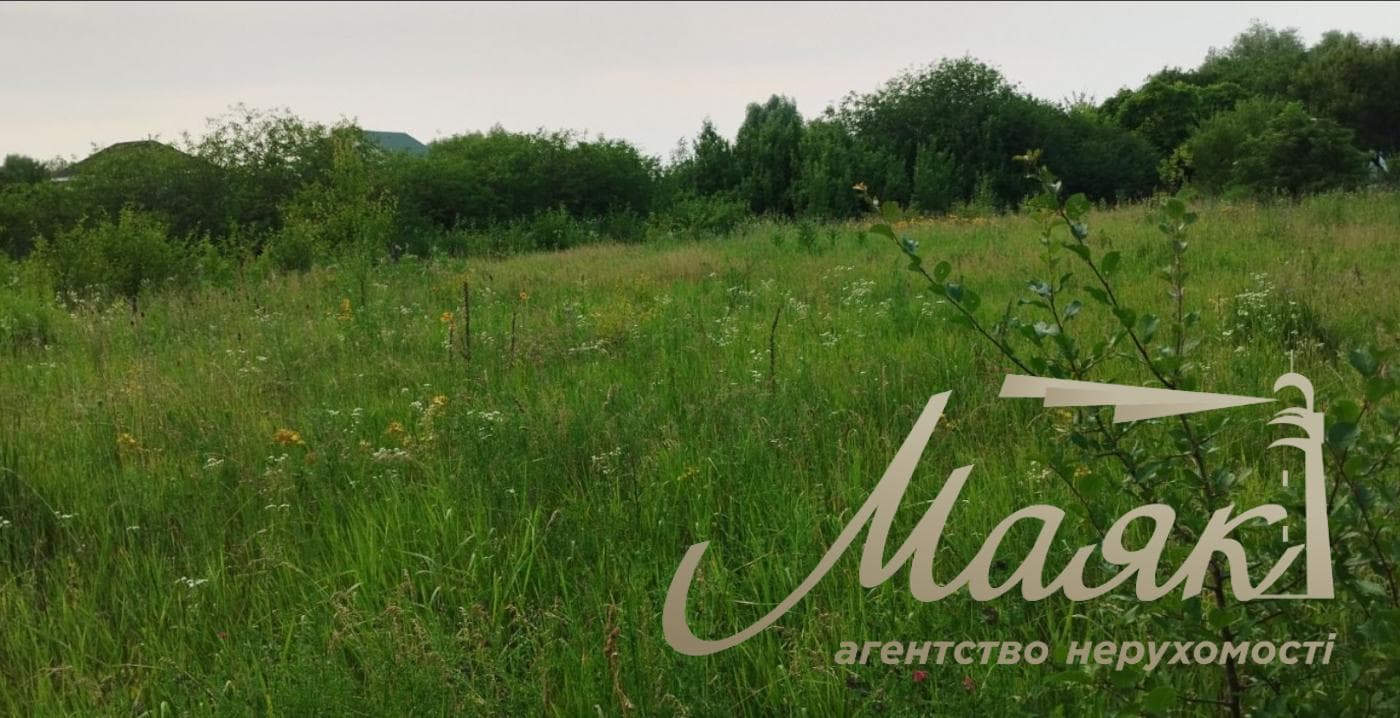 Land for sale: 25 sotok, Kuchakov Village, Boryspil District