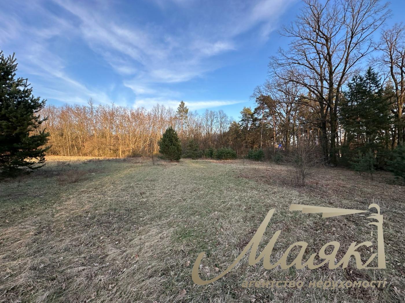 Sale of land for individual construction in a town in the forest.