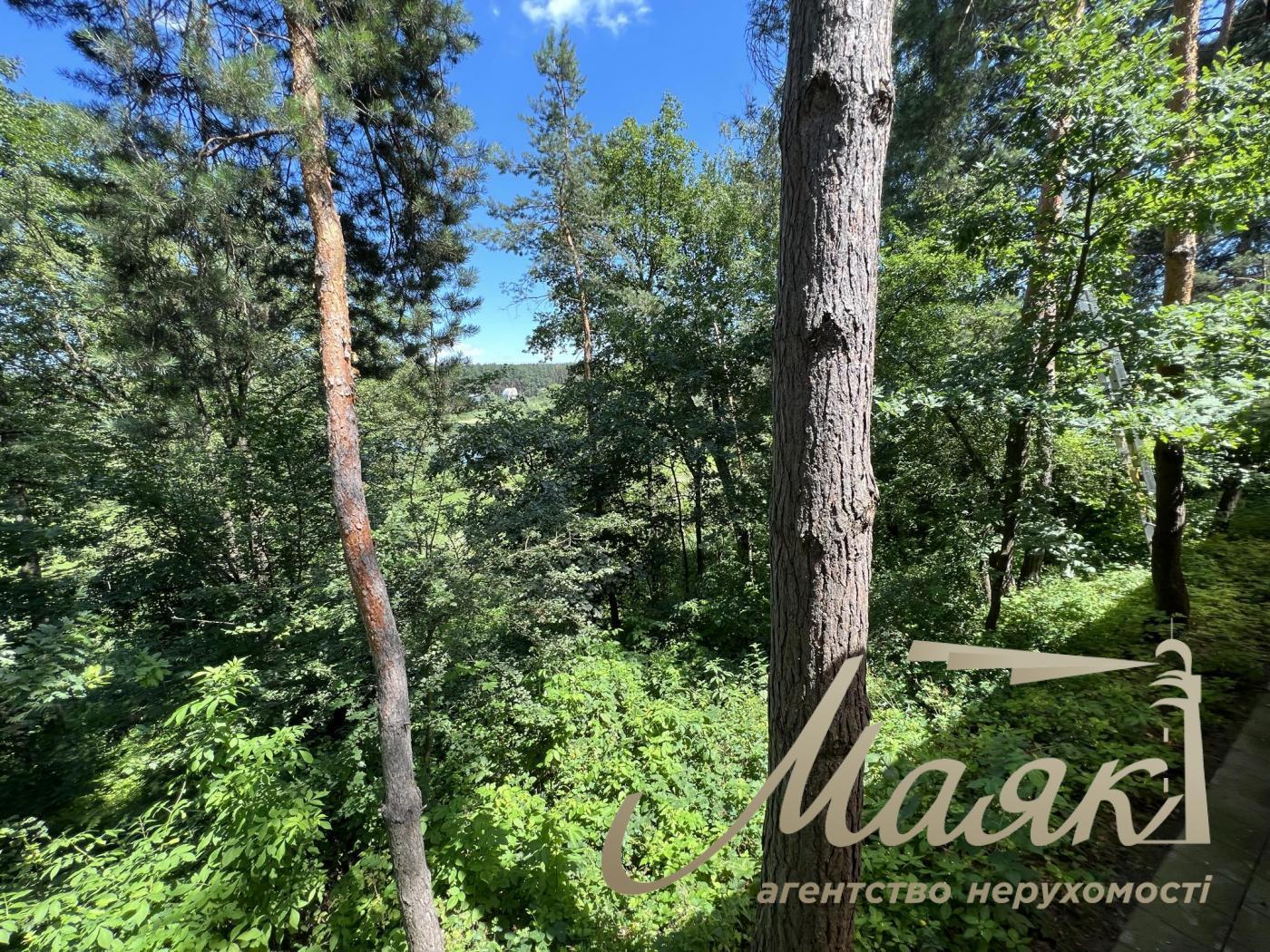 Sale of land 50 acres of forest, village Khodoseyevka.Novoobukhovskaya highway