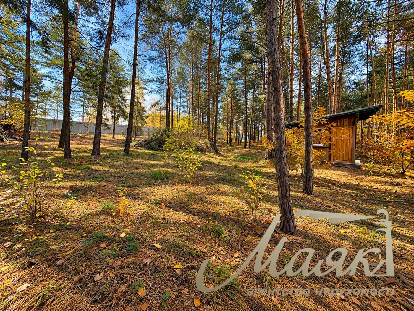 House for sale Obukhiv district, Dam, Kozin, Pluty, Ukrainka