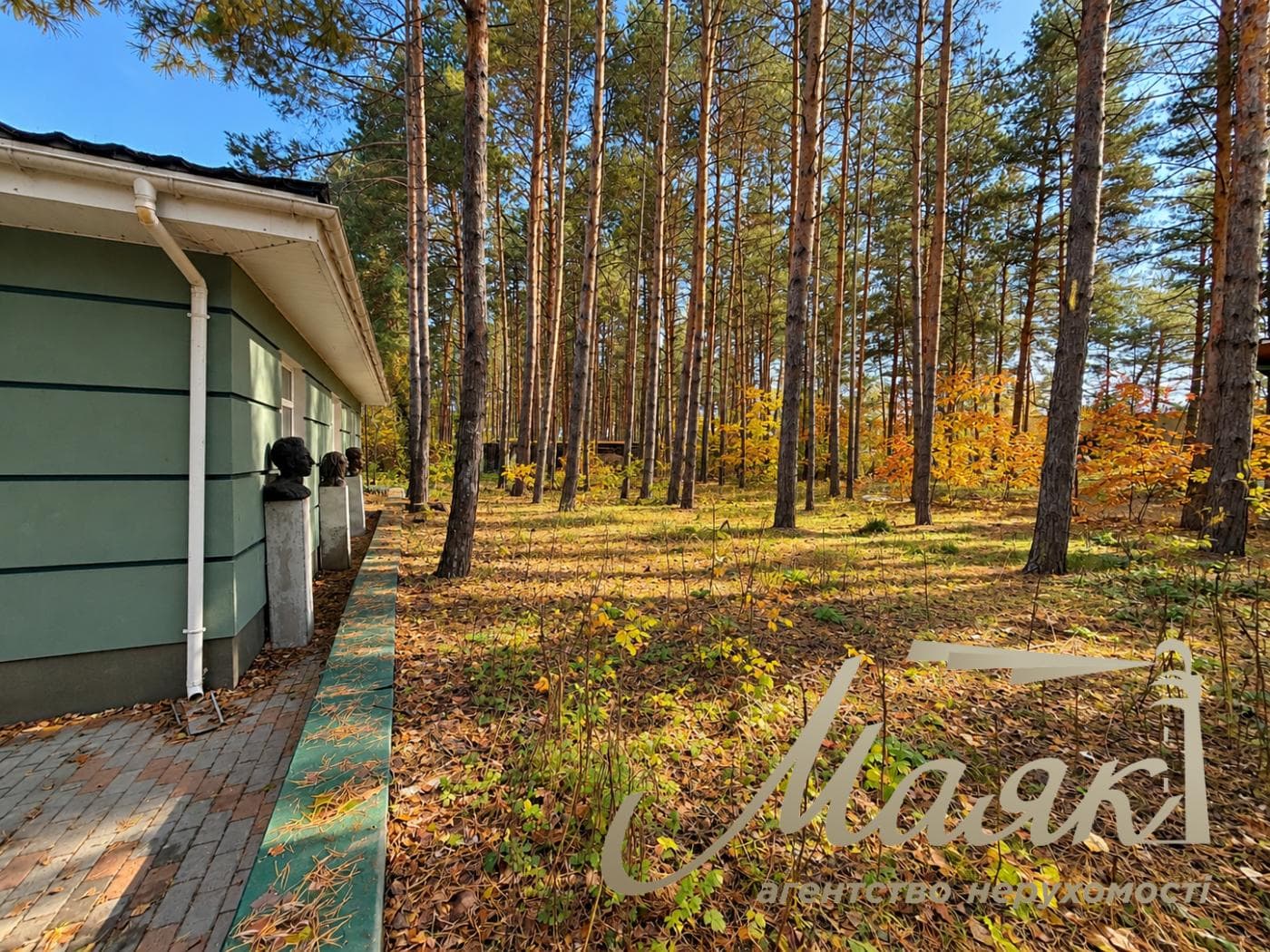 House for sale Obukhiv district, Dam, Kozin, Pluty, Ukrainka