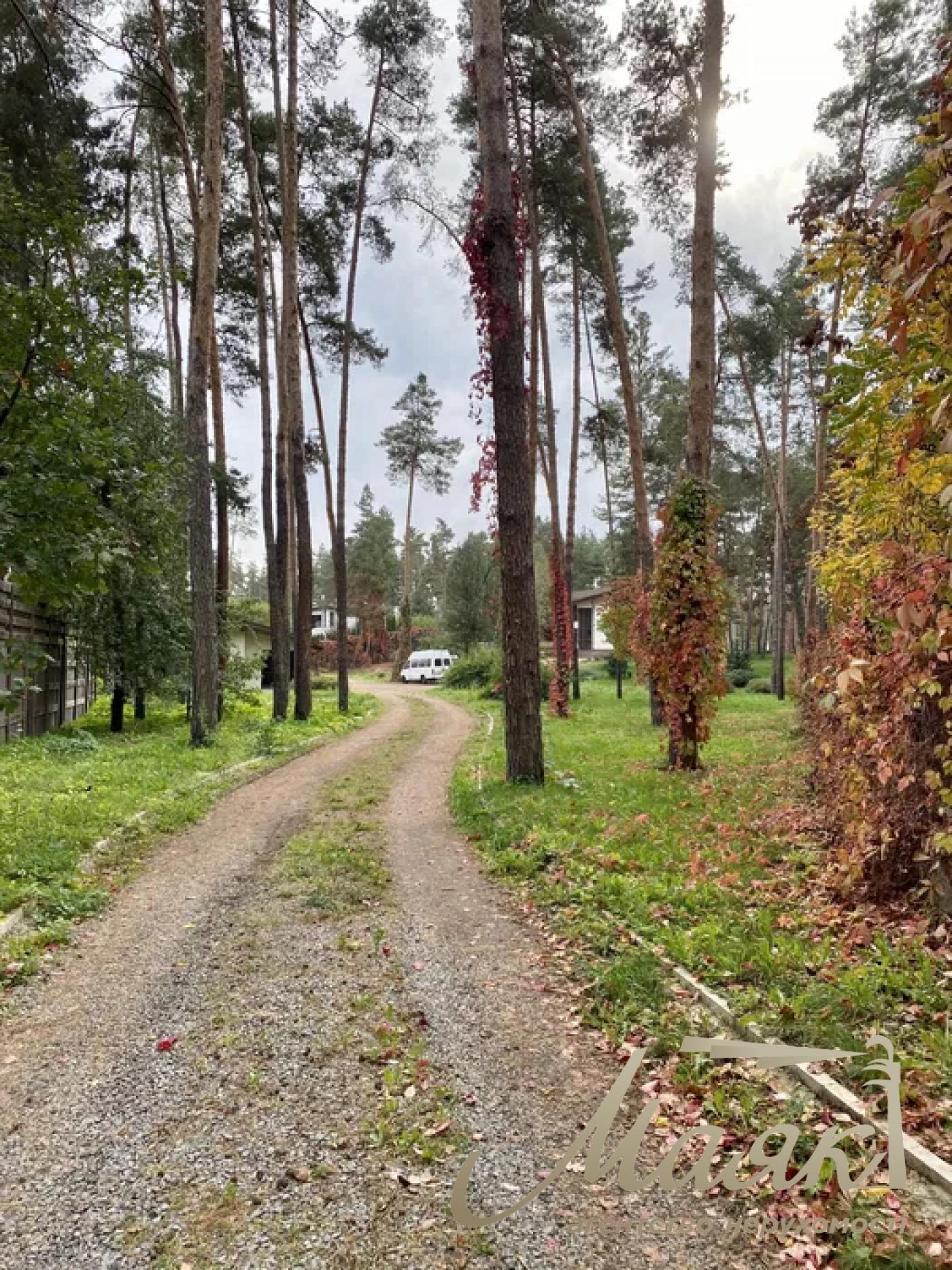 Продаётся дом невероятного, эксклюзивного проекта. Участок — 1,7 га леса высшей категории!