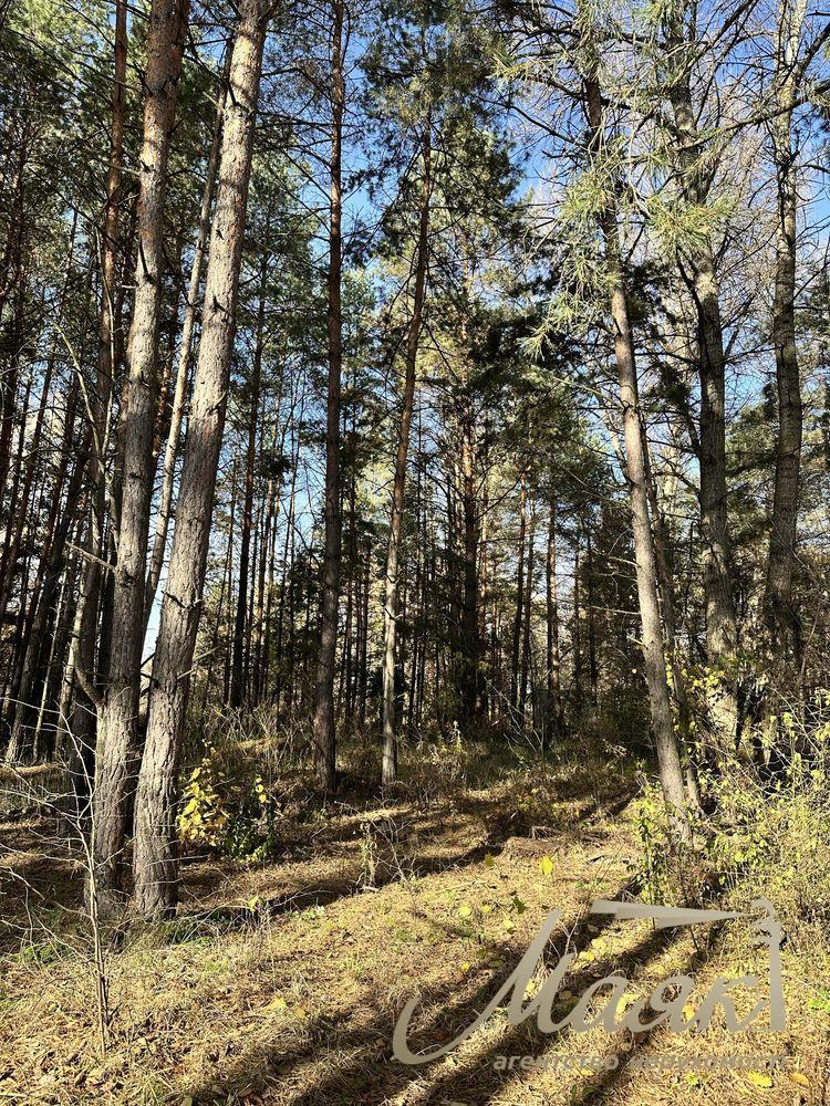 Продажа земельных участков от 15 соток до 8 Га — с.Вита-Почтовая и окрестности.