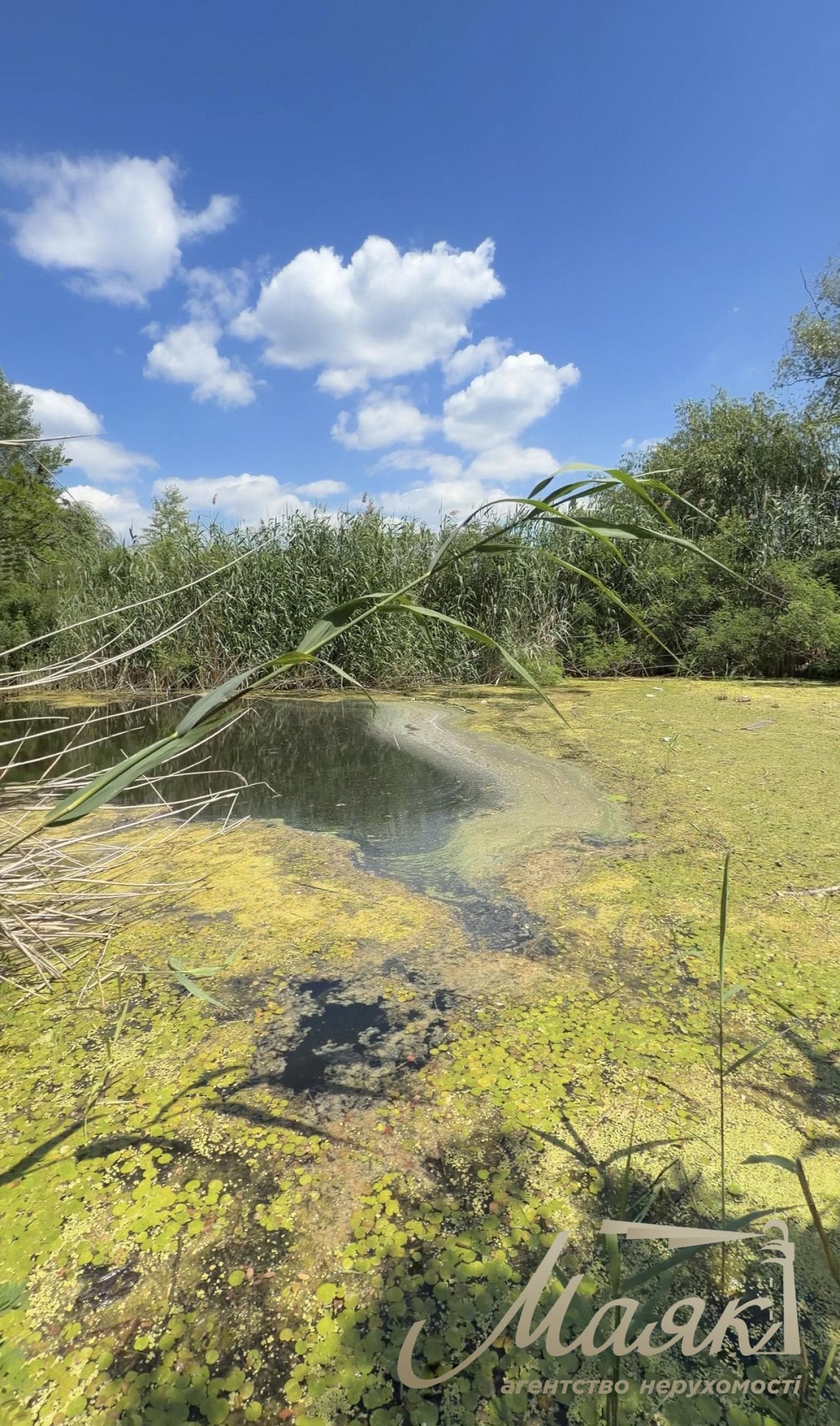 25 sotok of land for sale near the water, Kozin