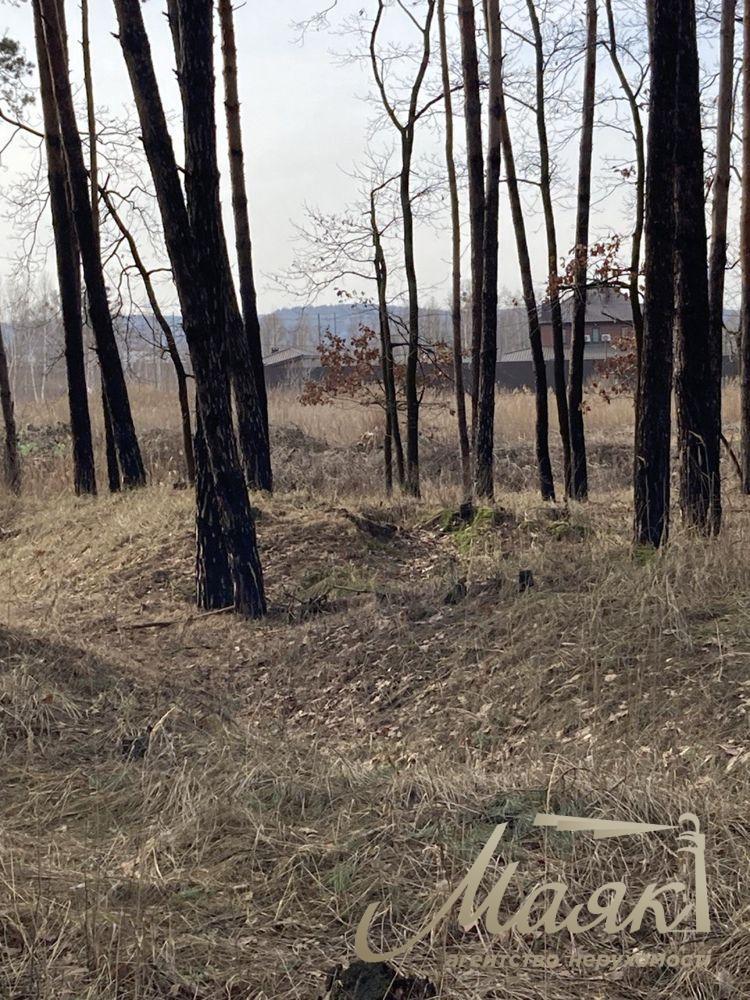 Sale of land for construction in the village of Mrigi, Kyiv region.