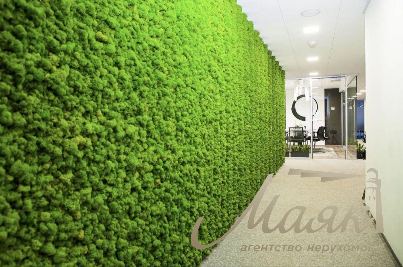 Аренда офиса 860 м.кв. пл.Спортивная, Печерск