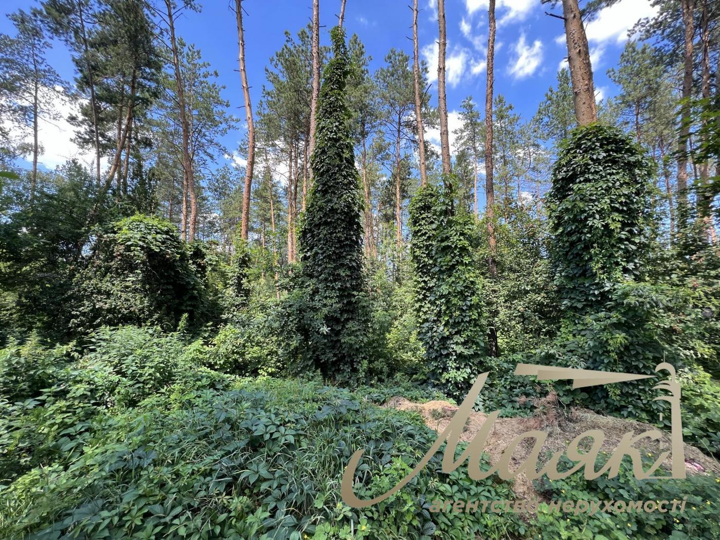 Sale. Land for individual construction, Lesnaya St., Khodosovka