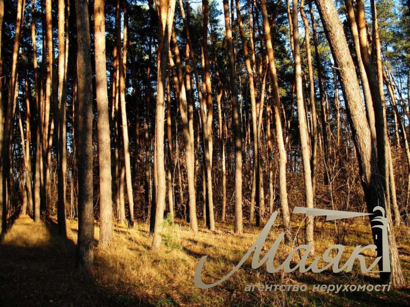 Sale of land for residential development Koncha-Zaspa.