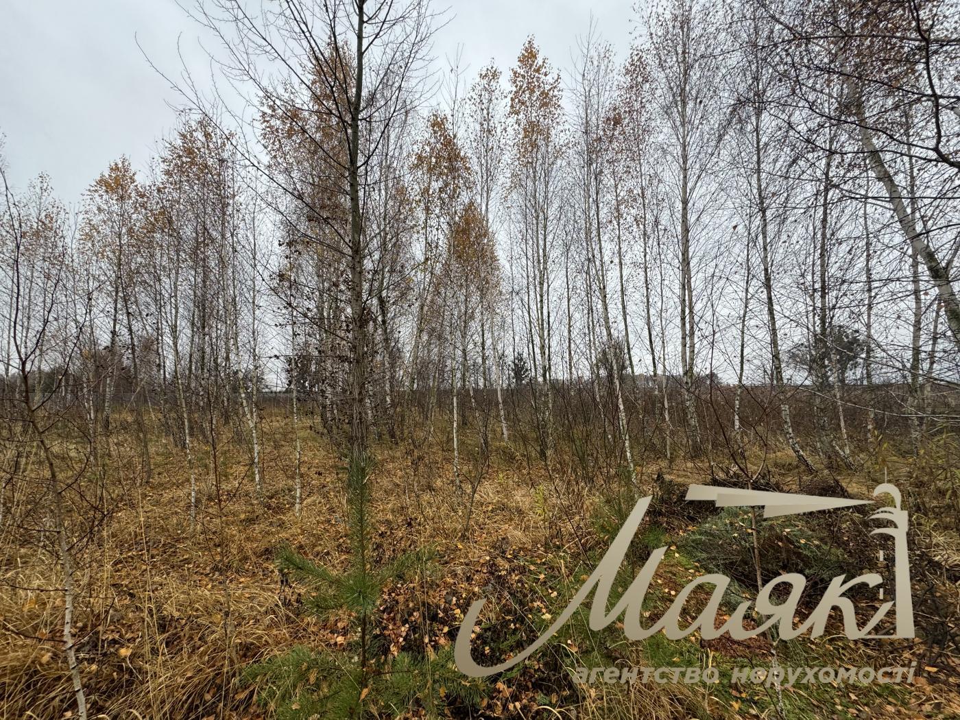 Sale of land in Kyiv region 40 acres + 20 acres for individual construction, Khutor Mrigi, Koncha Zaspa, Goloseevo, Kyiv