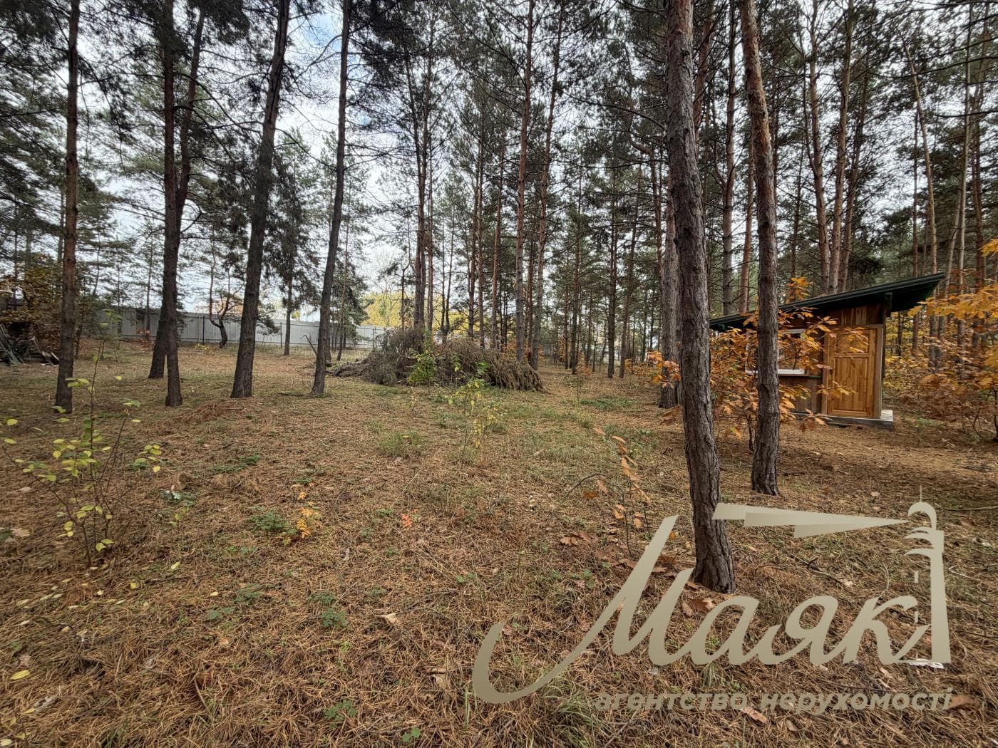 House for sale Obukhiv district, Dam, Kozin, Pluty, Ukrainka