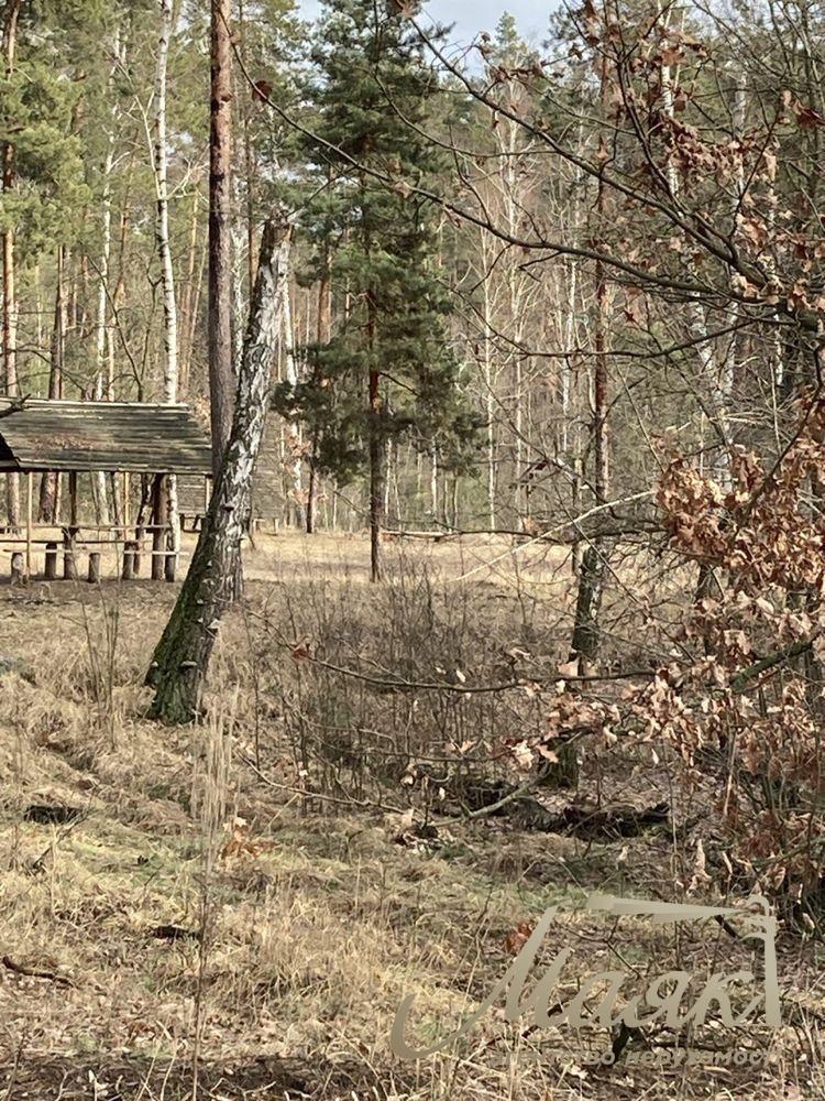 Sale of land for construction in the village of Mrigi, Kyiv region.