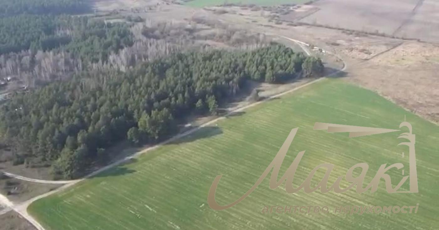 Sale of agricultural land. Brovarsky district