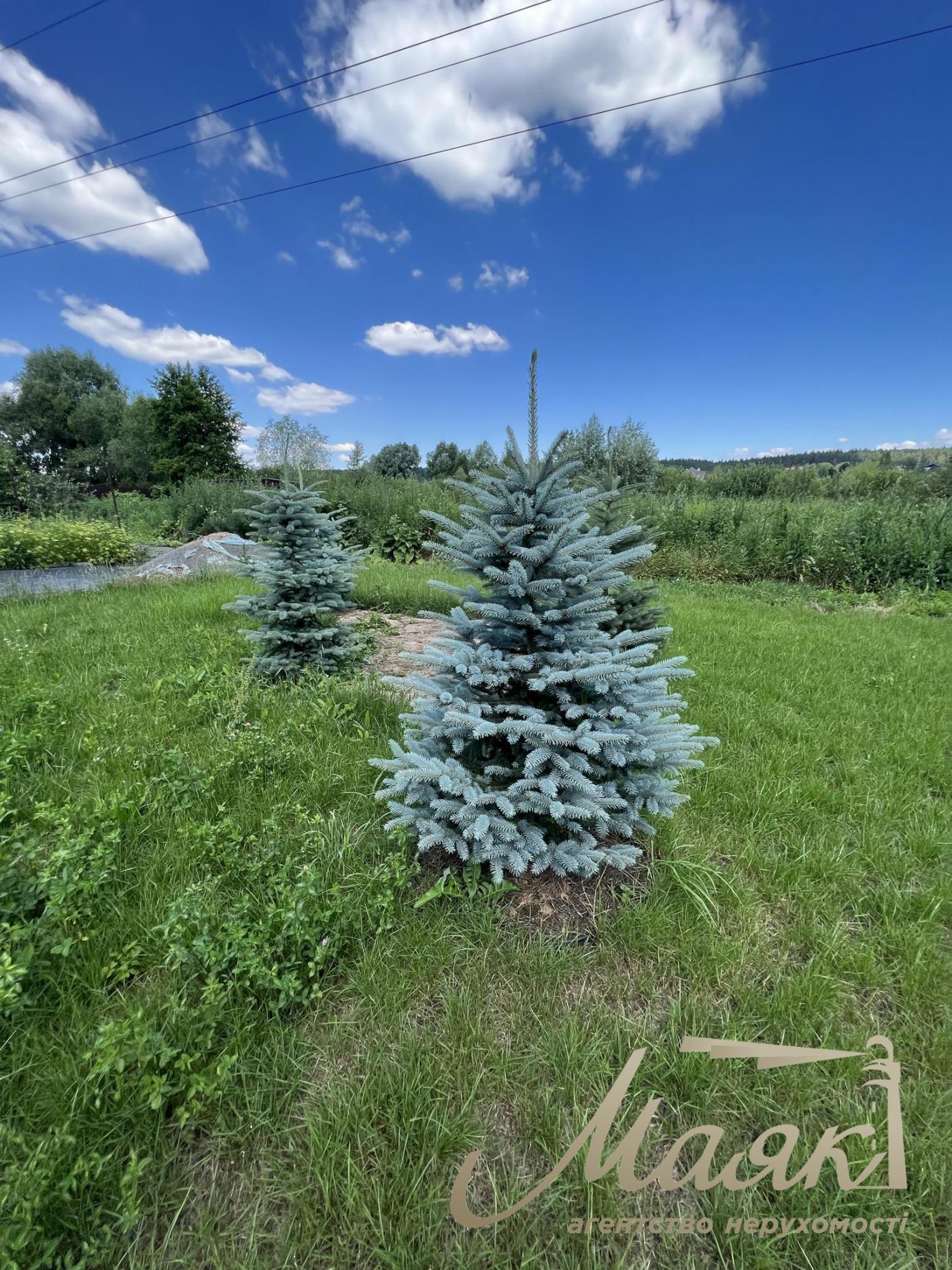 Sale. Land for individual construction, Lesnaya St., Khodosovka