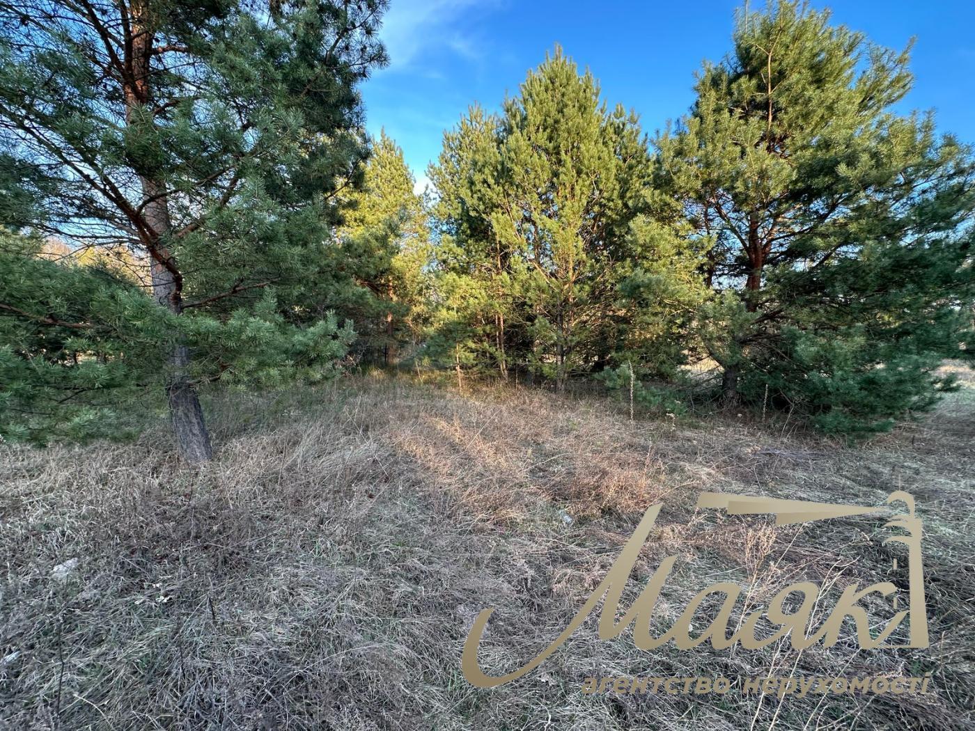 Sale of land for individual construction in the town. village of Kruglik.