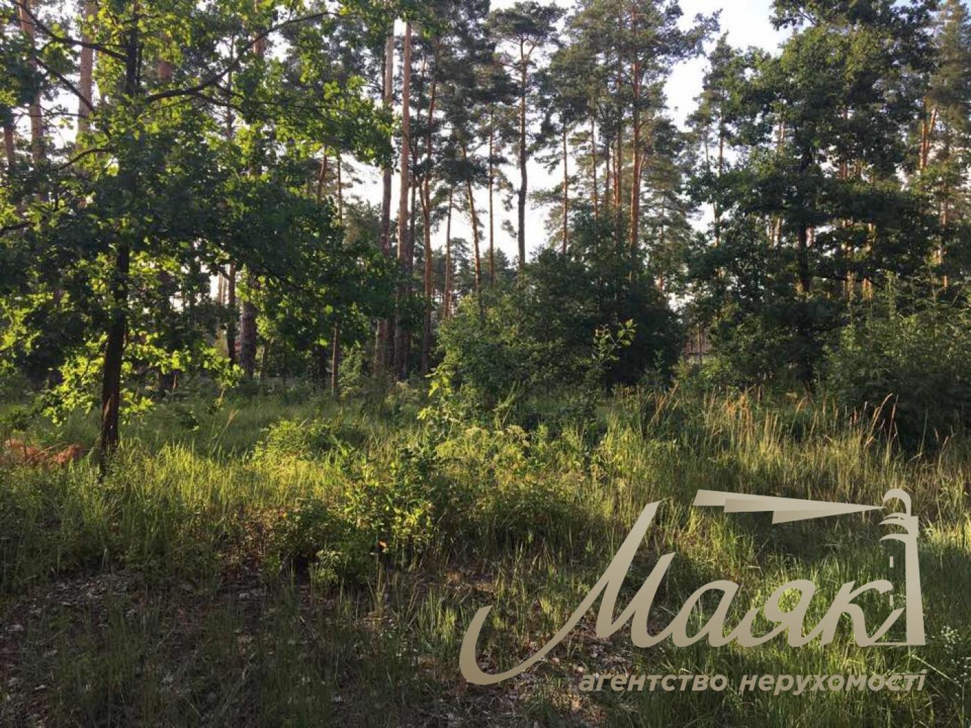 Sale of land plots for construction. Village Starye Bezradichi