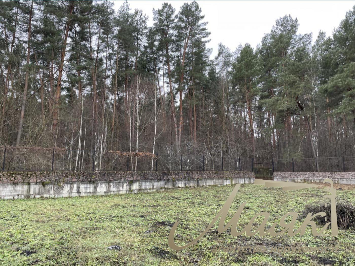 Sale of land for individual construction in the forest. Belogorodka village.