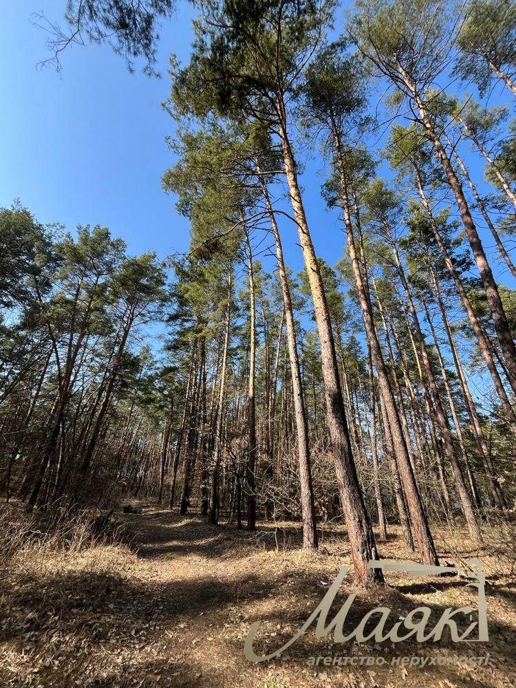 Продаж земельної ділянки 2,8 Га в лісовій частині Нової Ходосівки