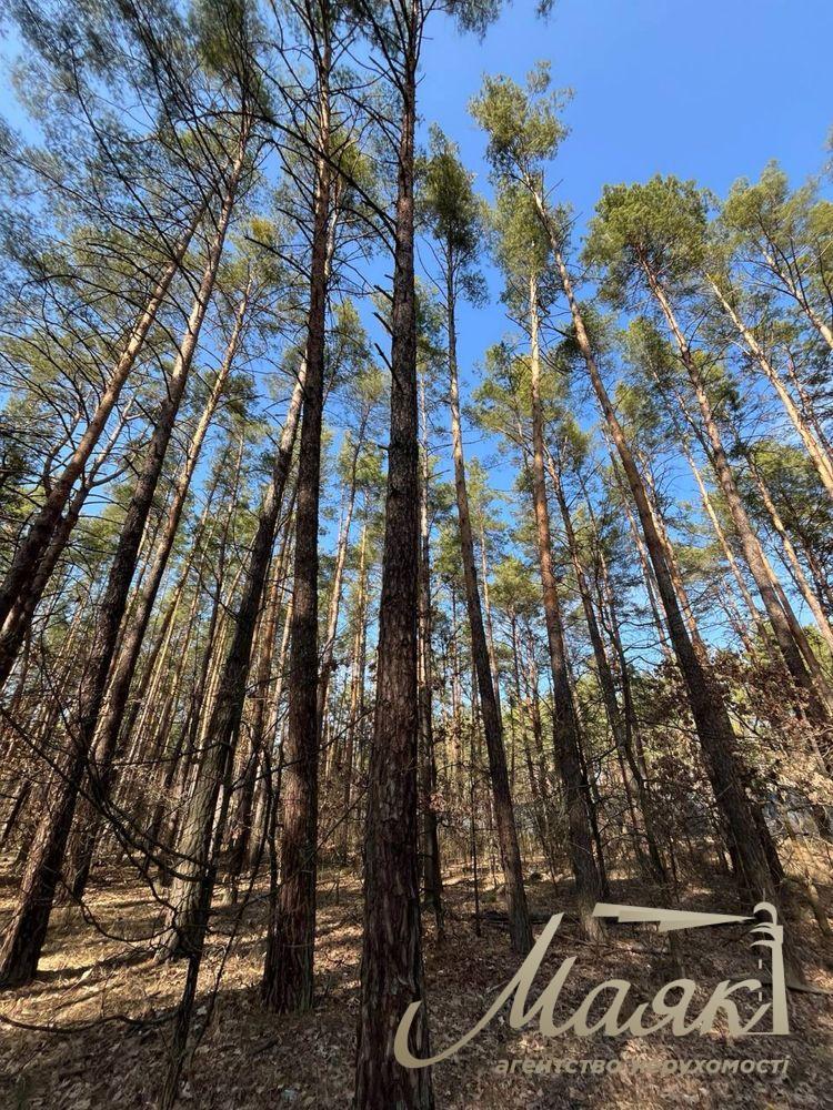 Продаж земельної ділянки 9 соток у Новій Ходосівці