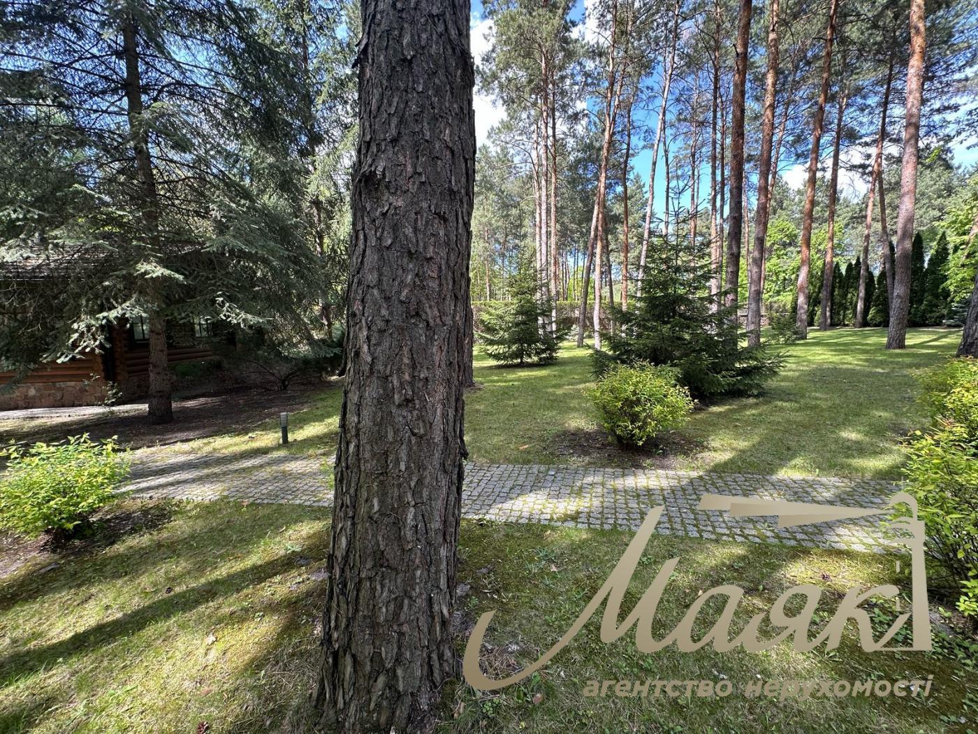 Sale of a plot in the forest in the city of Koncha-Zaspa. Kozin village