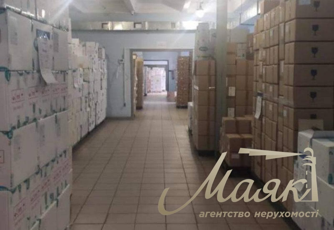 Продаж виробничо-складського комплексу площею 5106 м², Нова Дарниця
