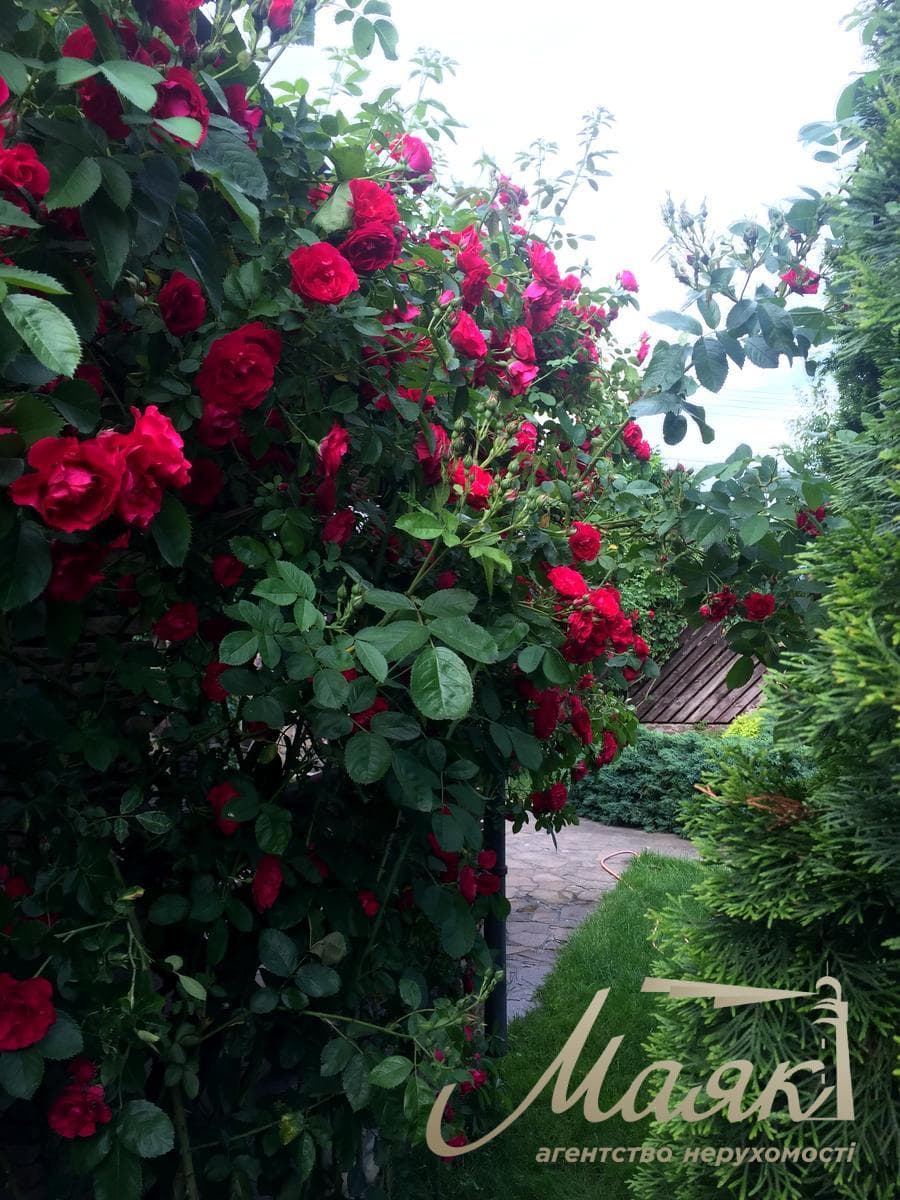 House for sale 170m2 in Podgortsy village, Ozernaya street, Obukhiv direction, Kiev region