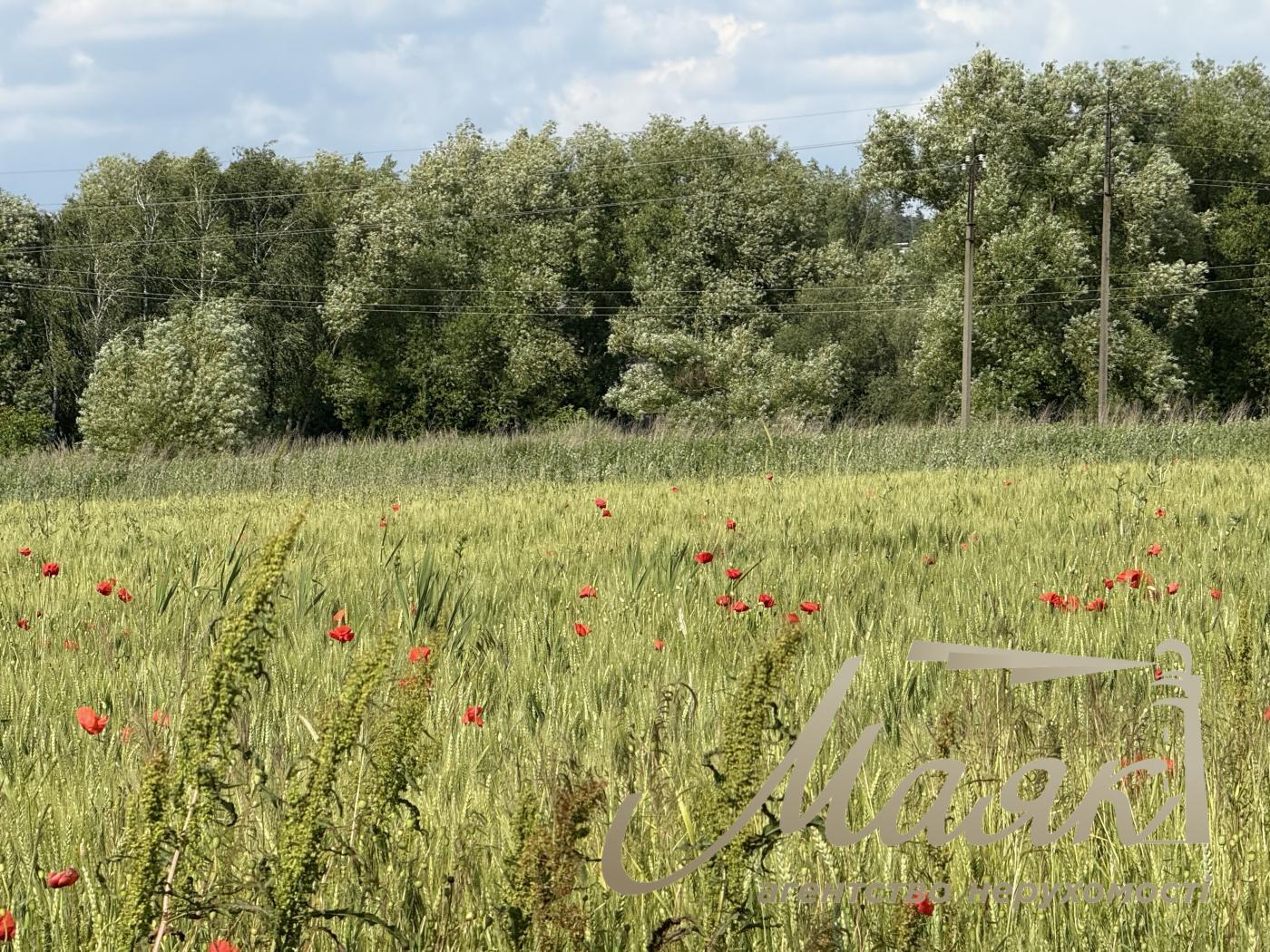 For sale / Land for ind. construction under cottage town Vita-pochtovaya / Yurovka