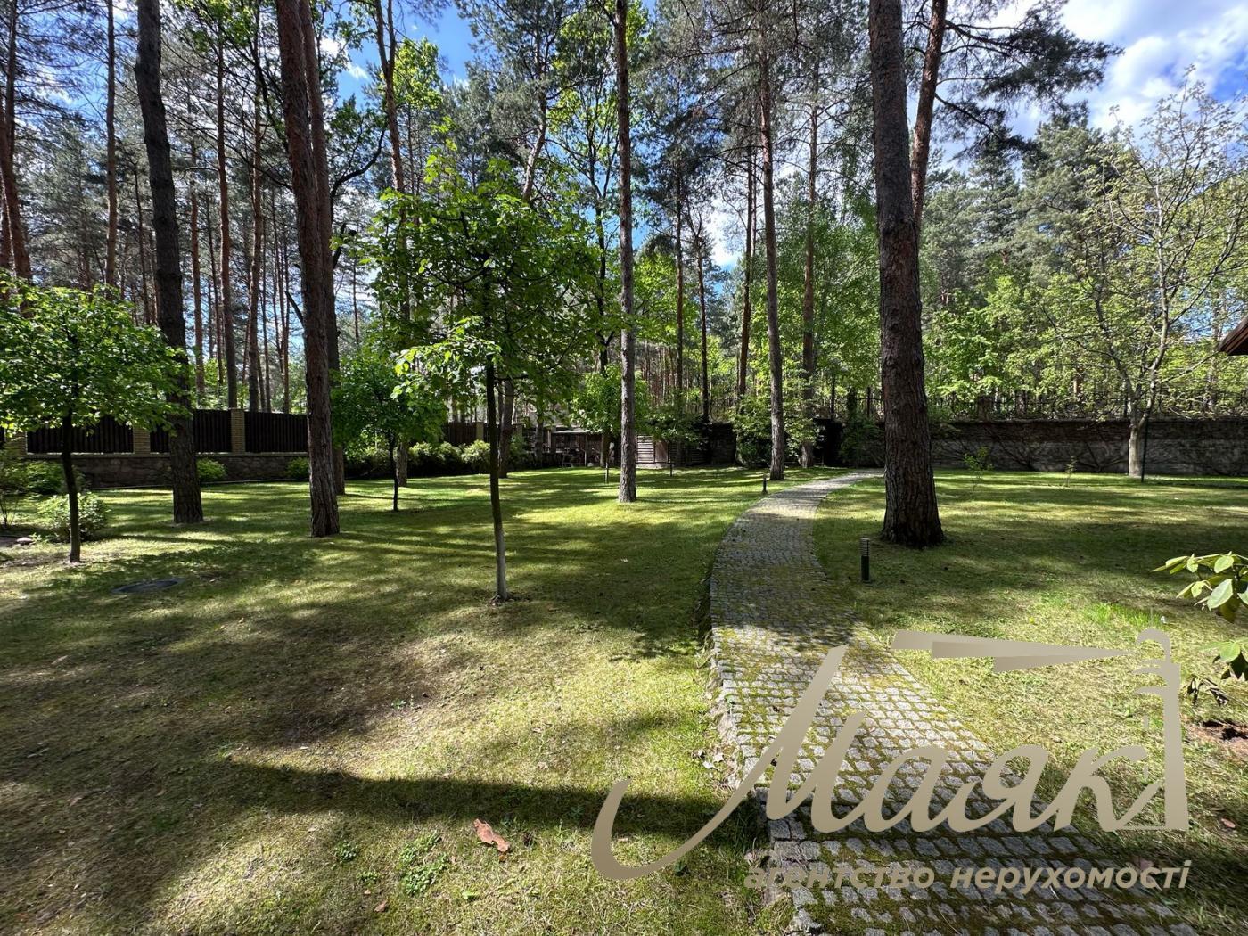 Sale of a plot of land in the forest in the city of Koncha-Zaspa.